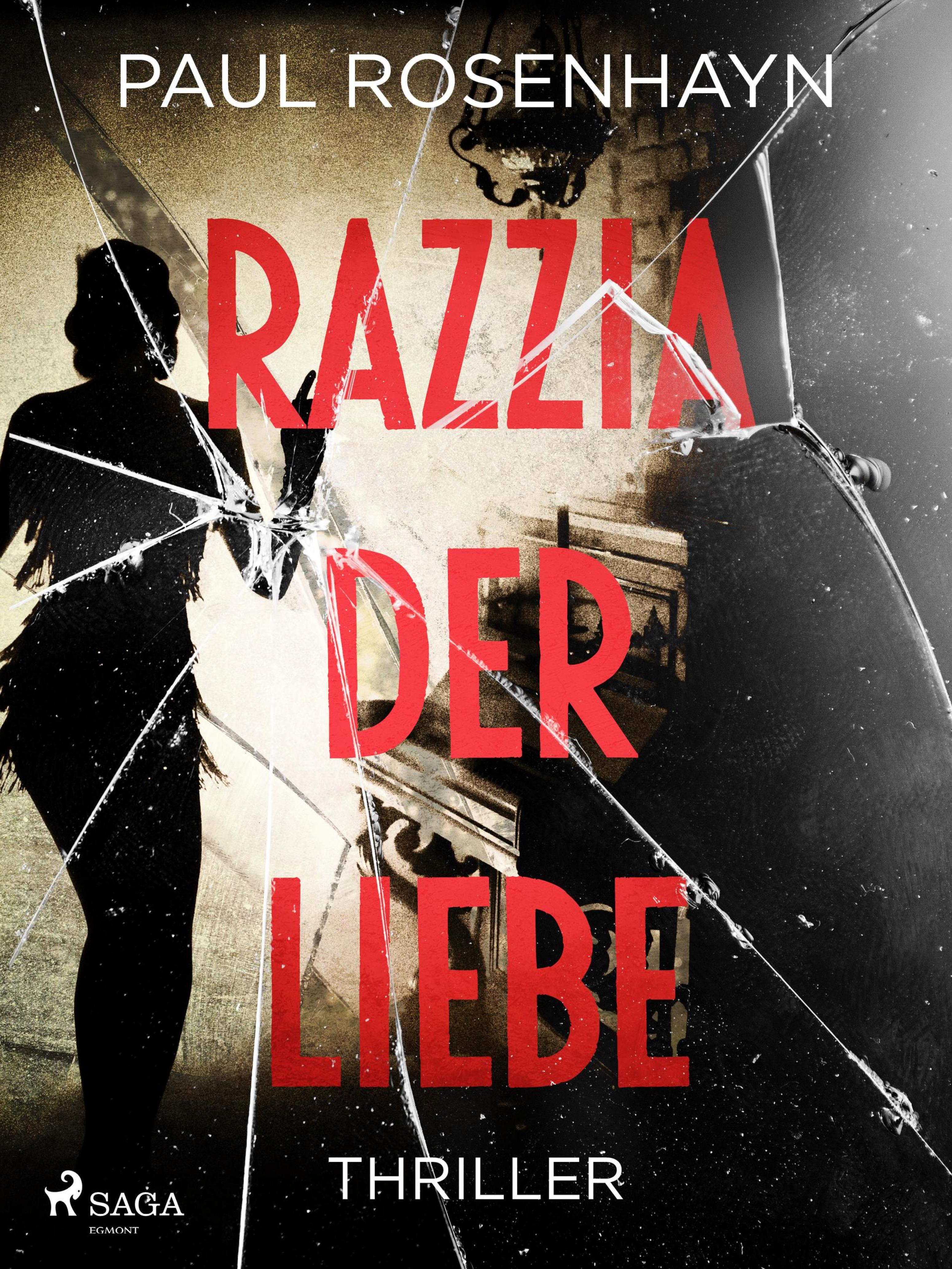 Обложка книги «Razzia der Liebe - Thriller»