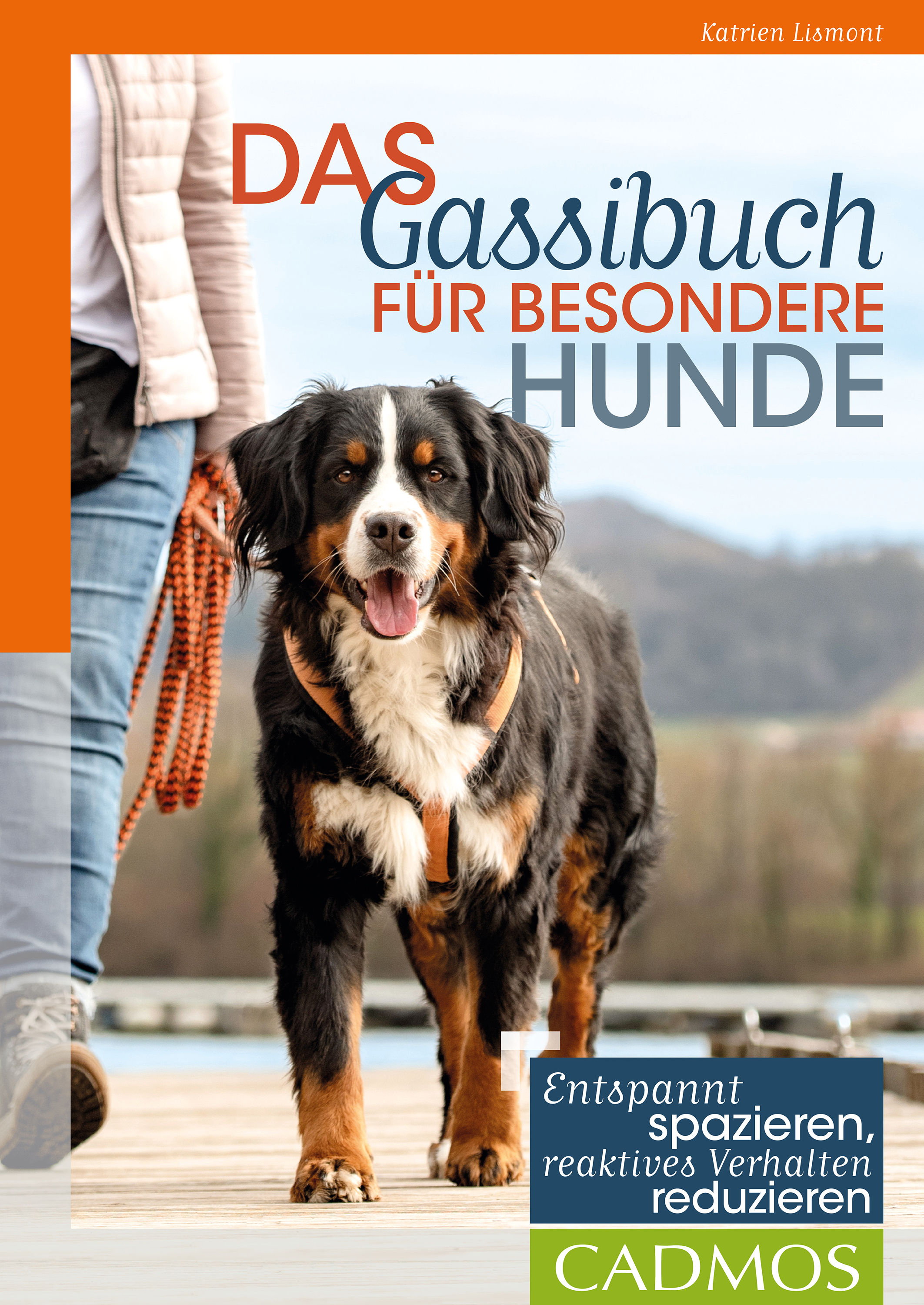 Обложка книги «Das Gassi-Buch für besondere Hunde»