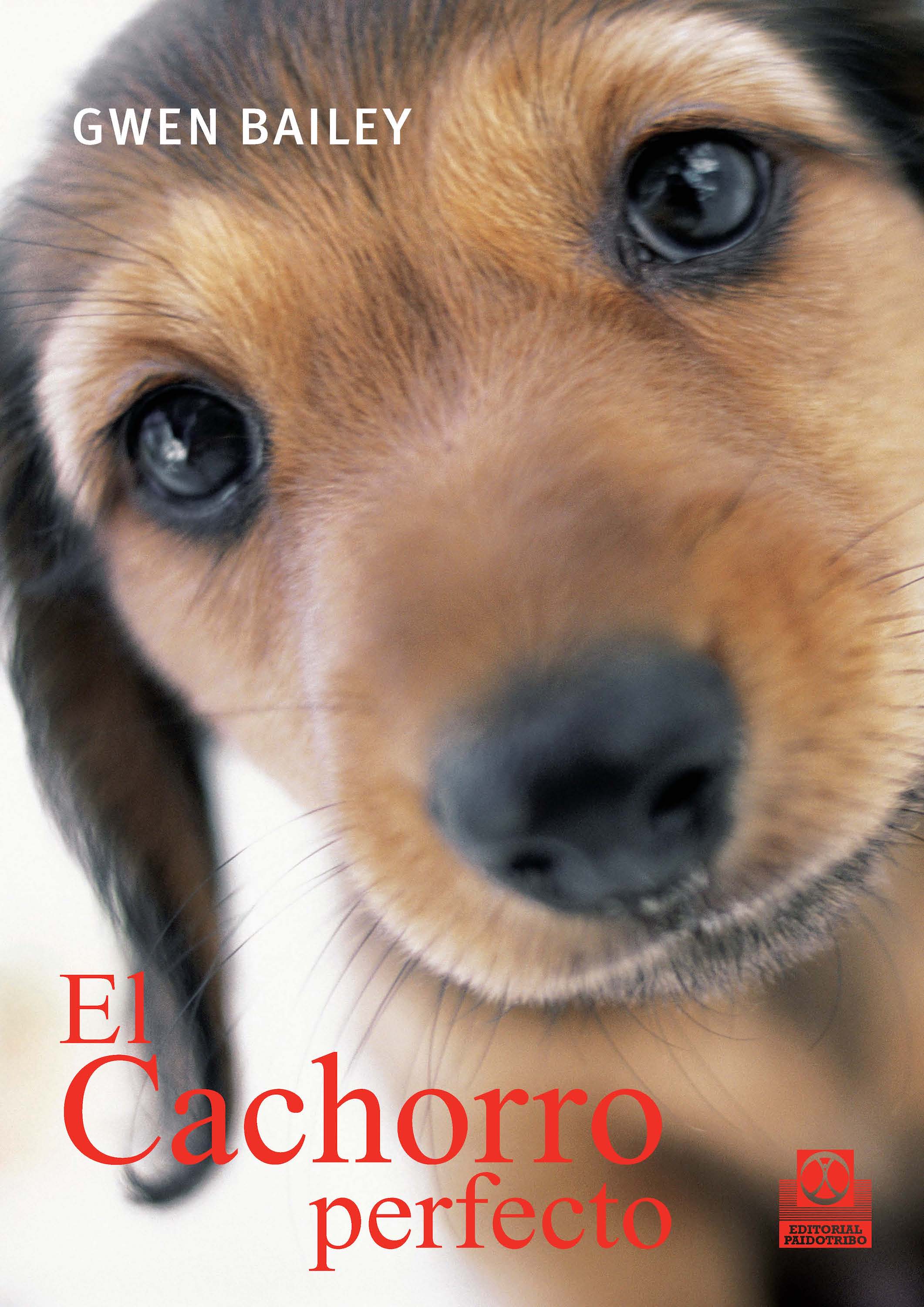 Обложка книги «El cachorro perfecto»