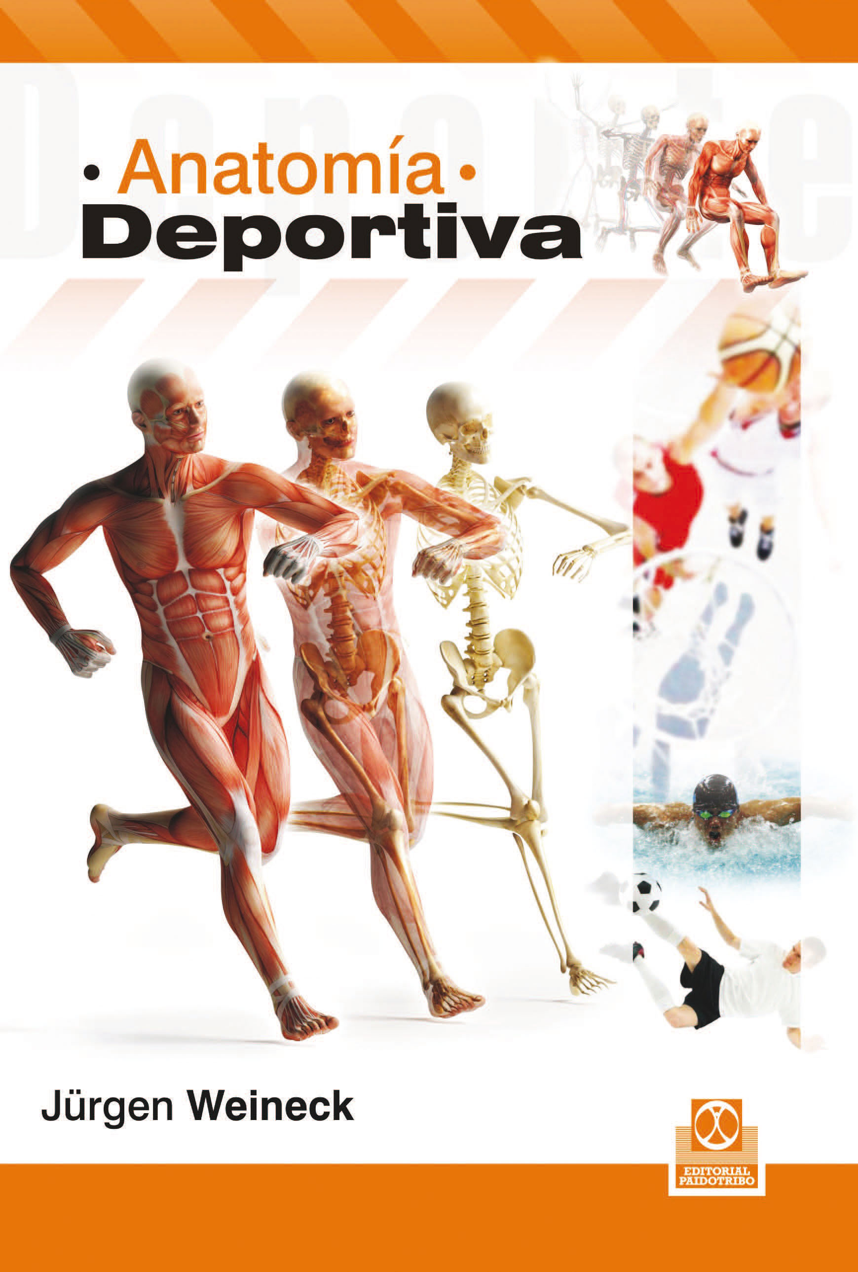 Обложка книги «Anatomía deportiva»