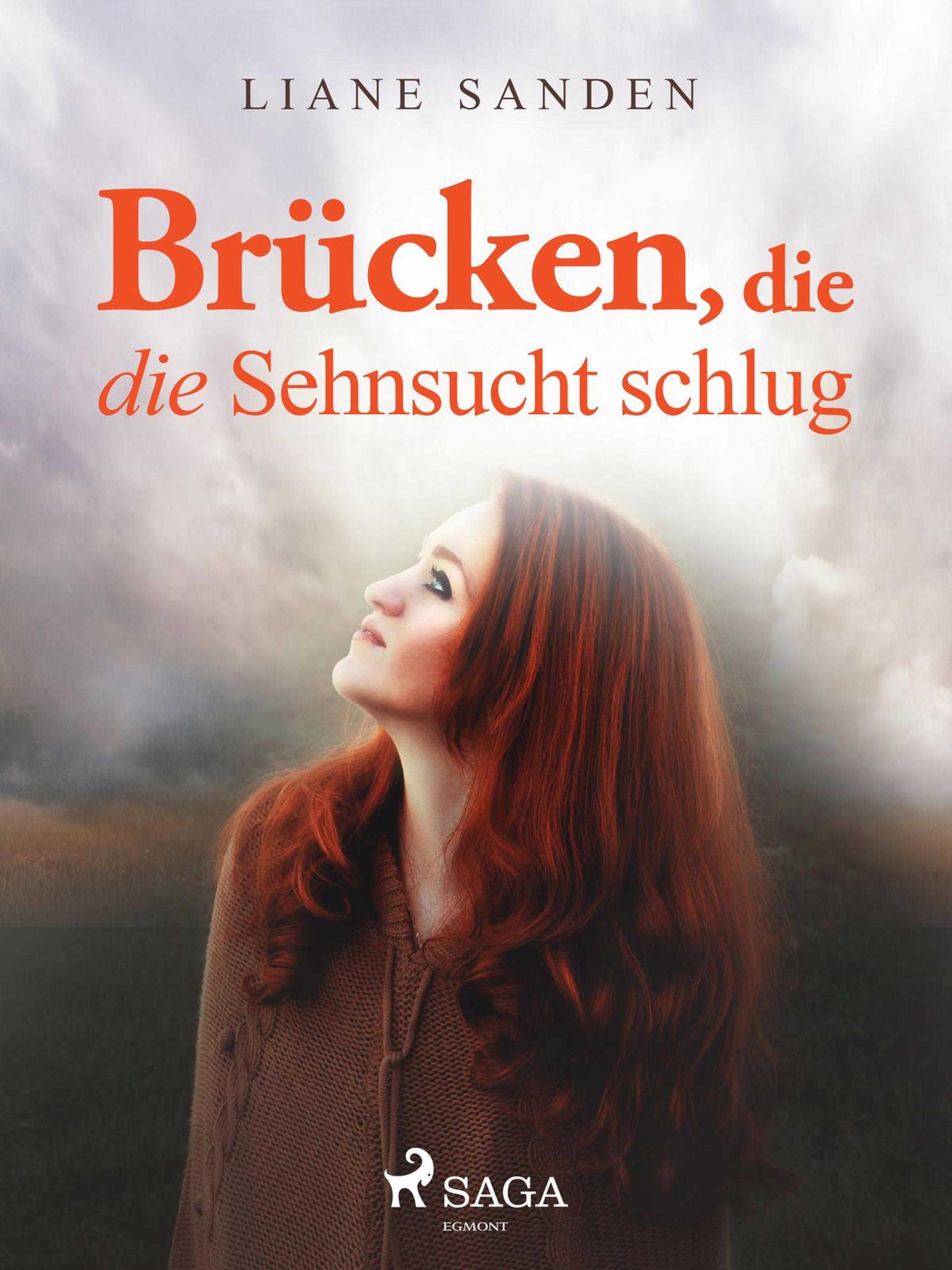 Обложка книги «Brücken, die die Sehnsucht schlug»