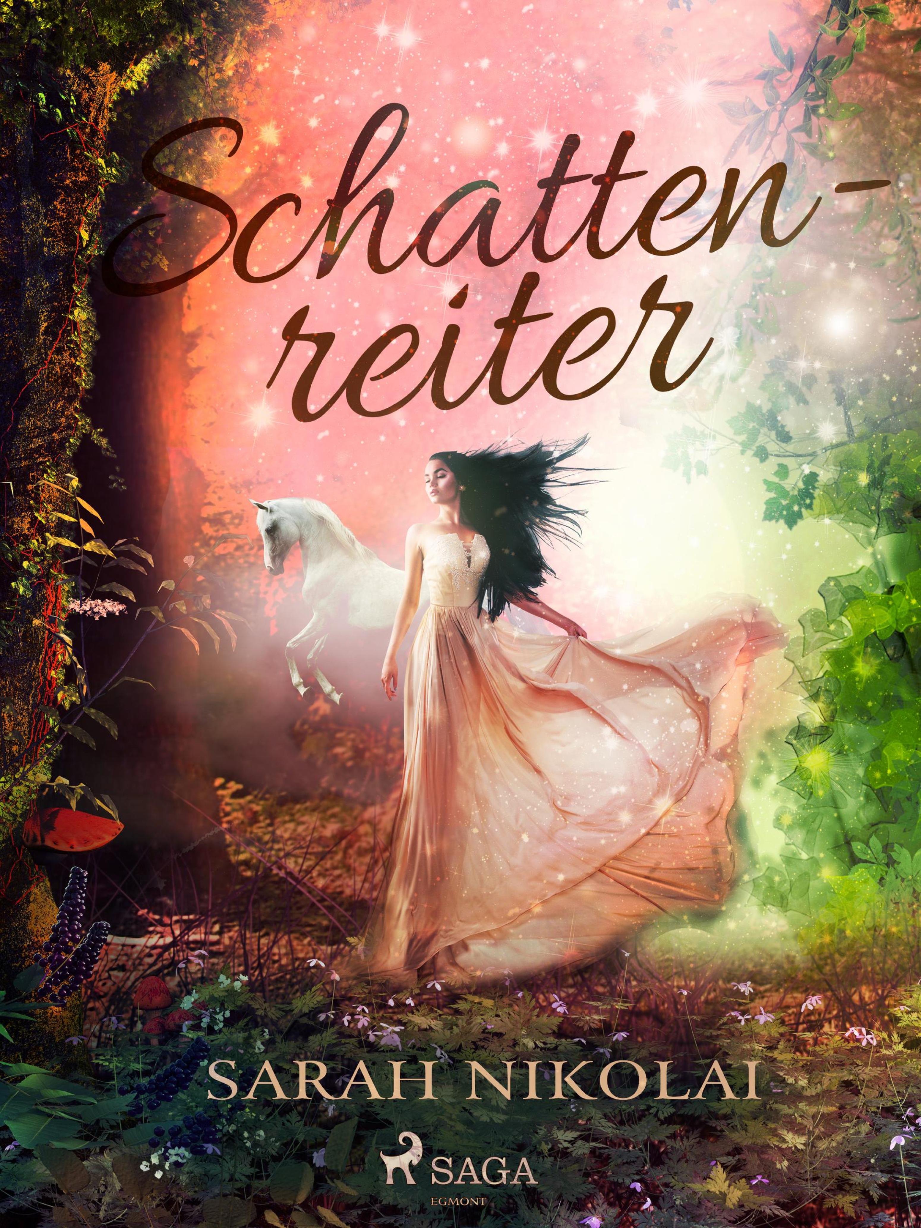 Обложка книги «Schattenreiter»