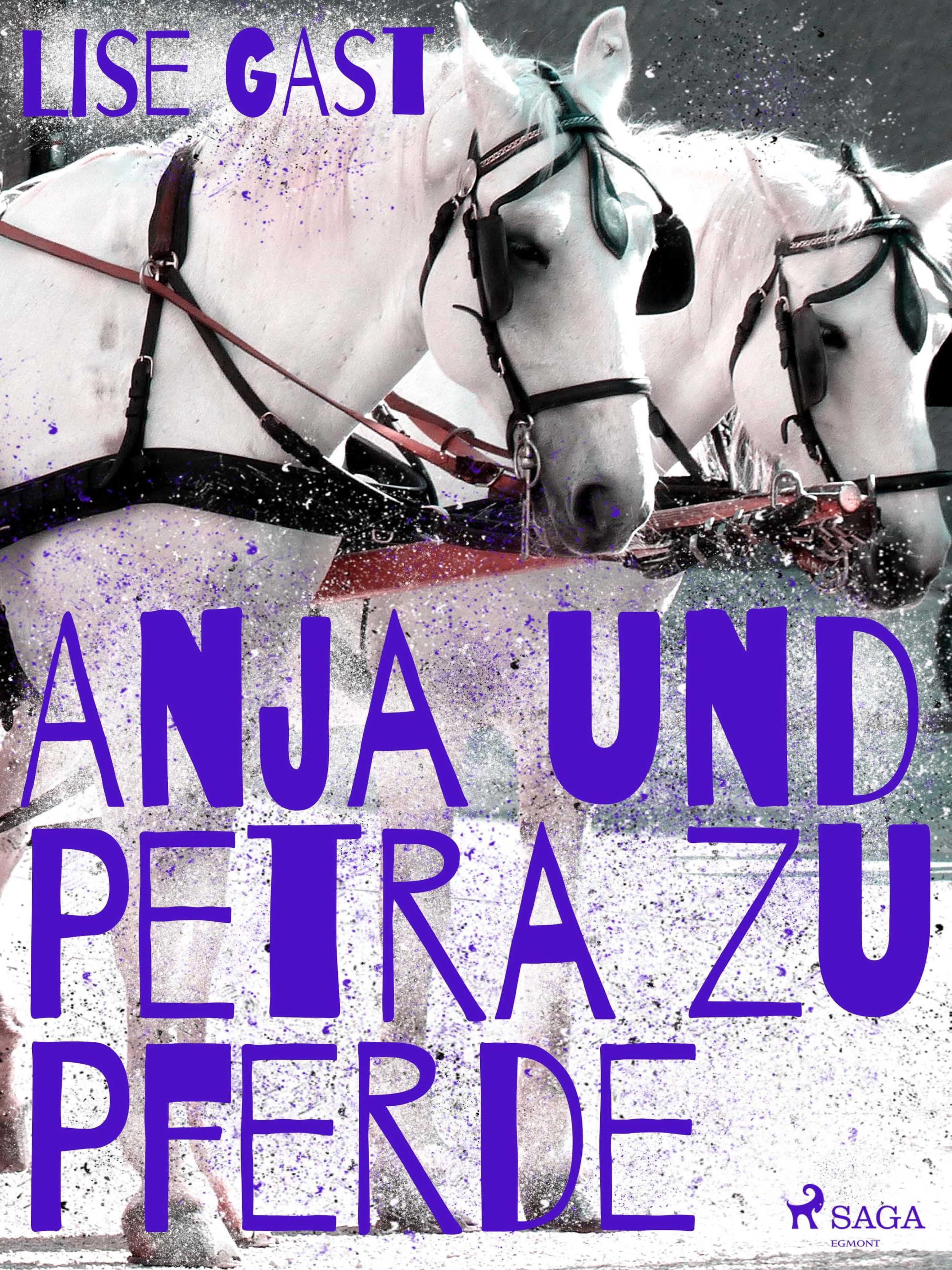 Обложка книги «Anja und Petra zu Pferde»