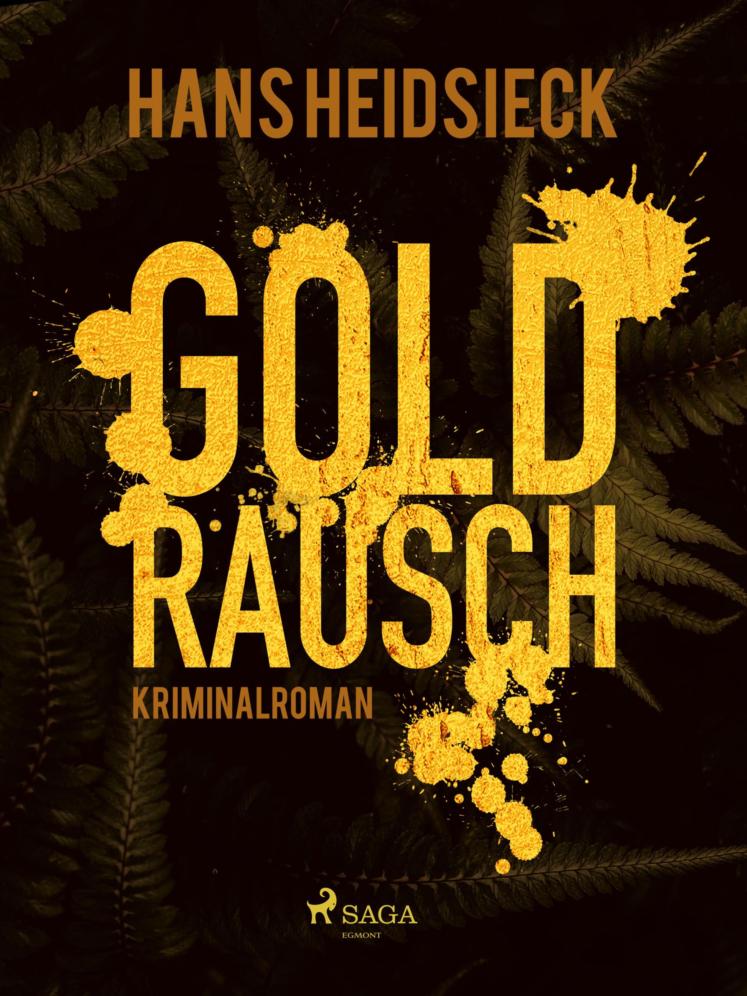 Обложка книги «Goldrausch»