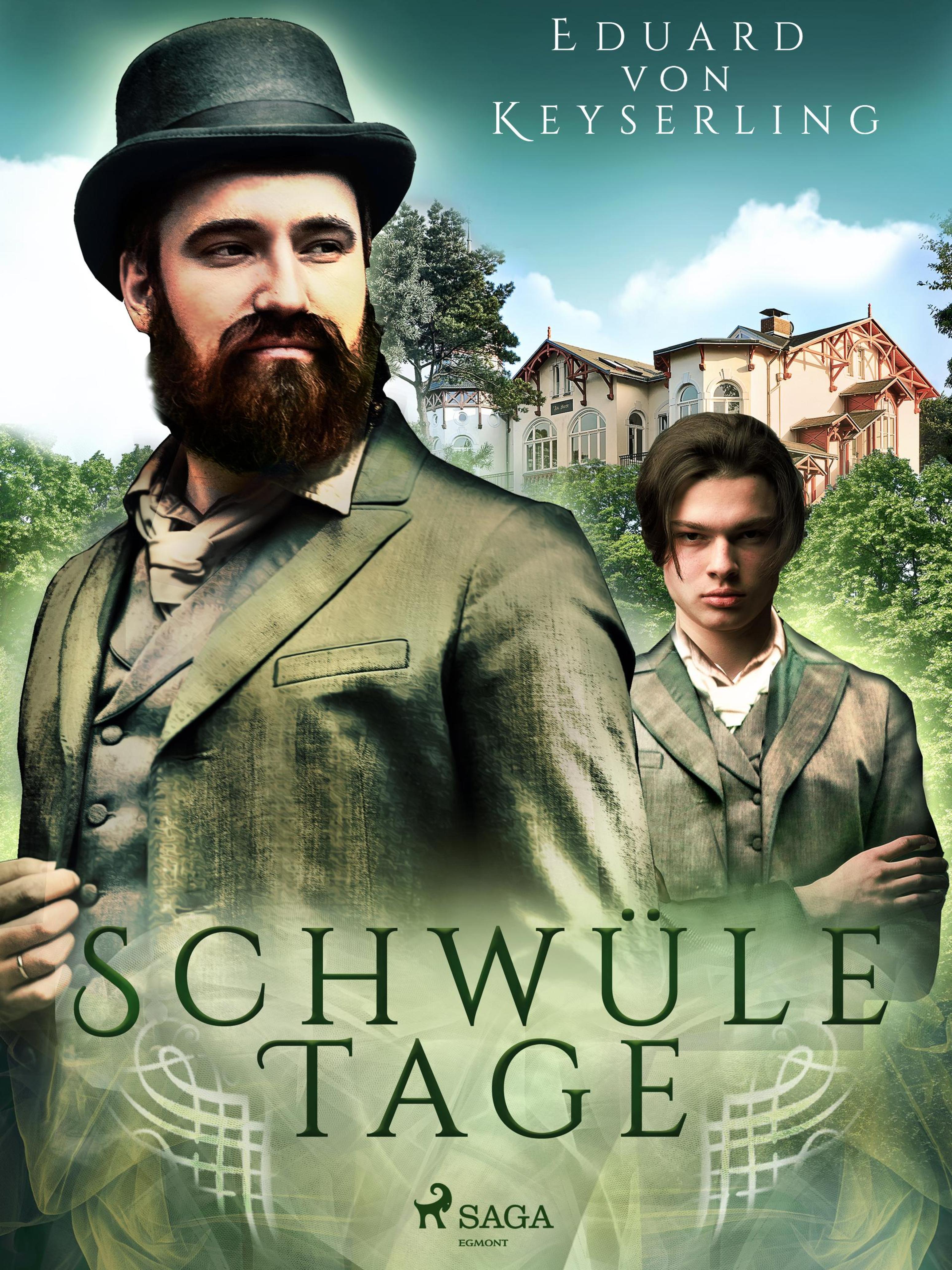 Обложка книги «Schwüle Tage»