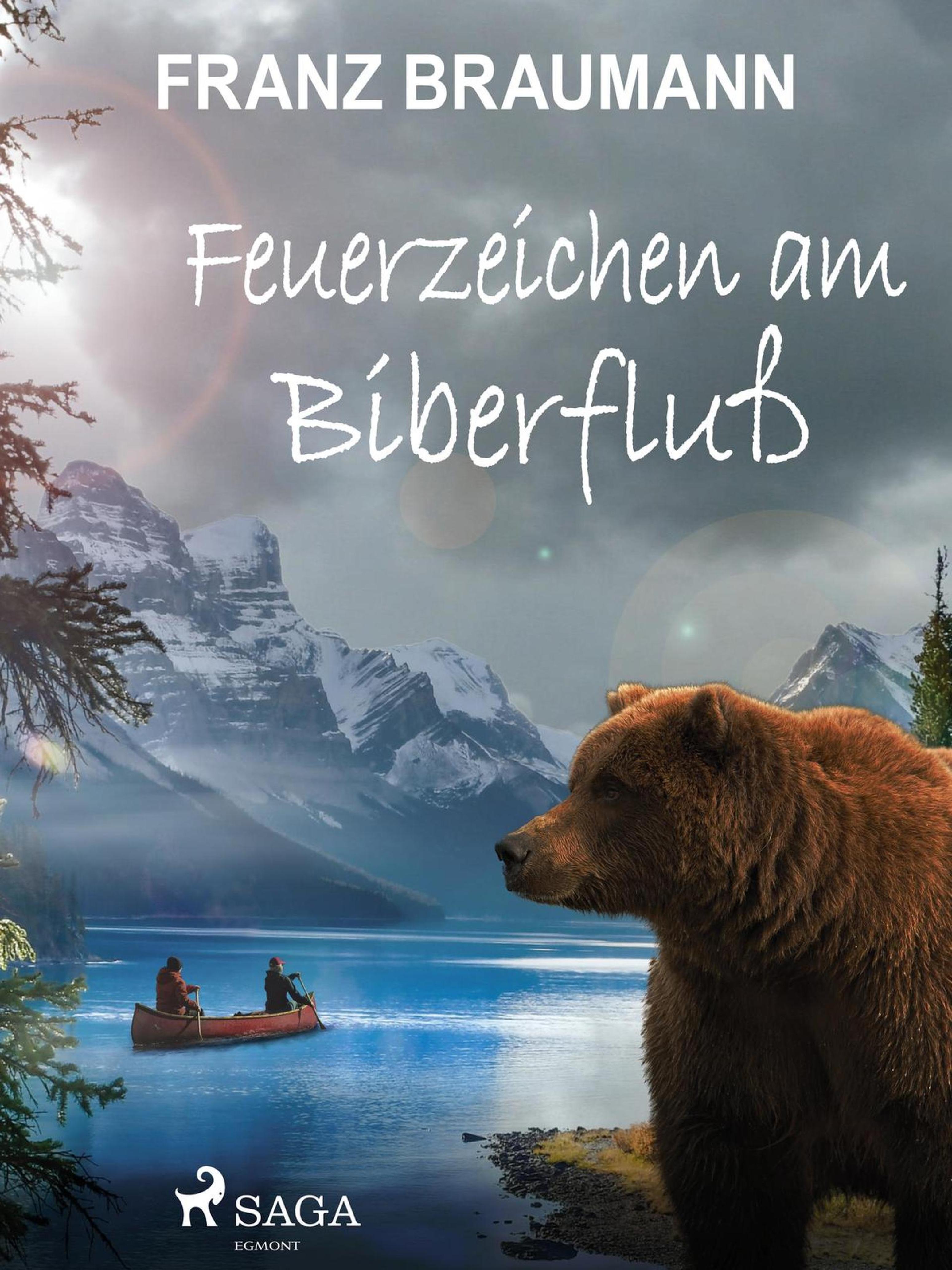 Обложка книги «Feuerzeichen am Biberfluß»