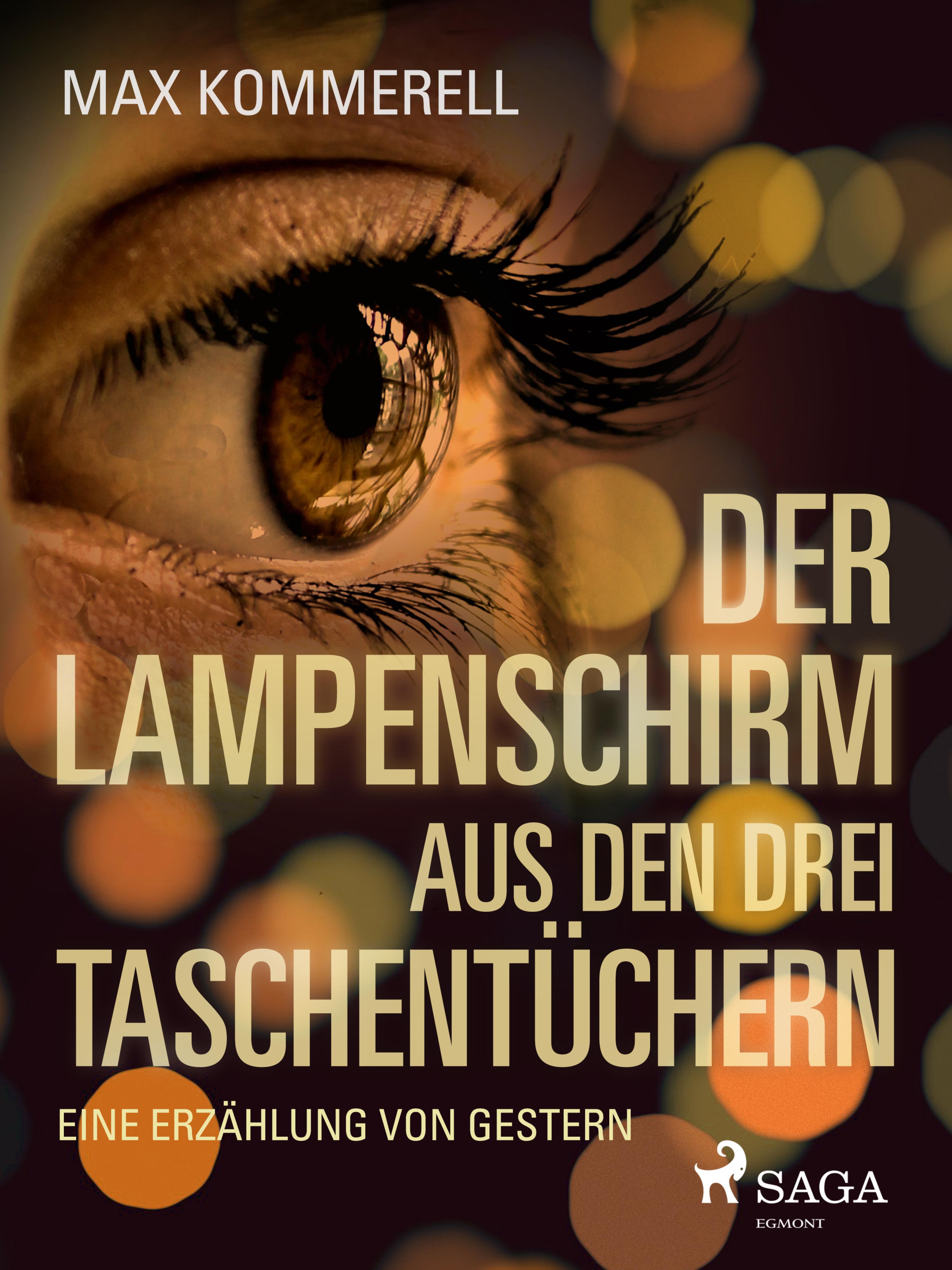 Обложка книги «Der Lampenschirm aus den drei Taschentüchern»