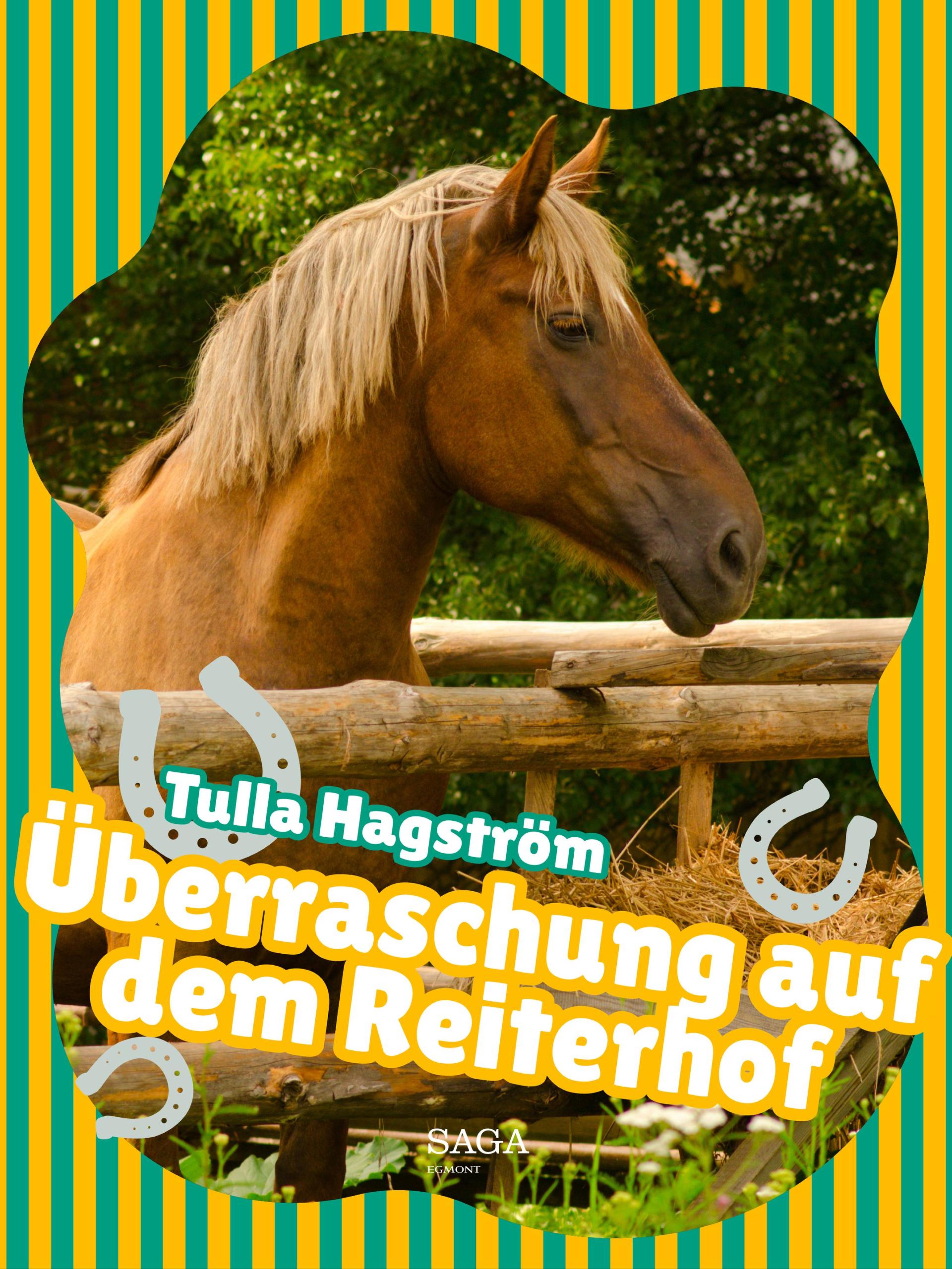 Обложка книги «Überraschung auf dem Reiterhof»