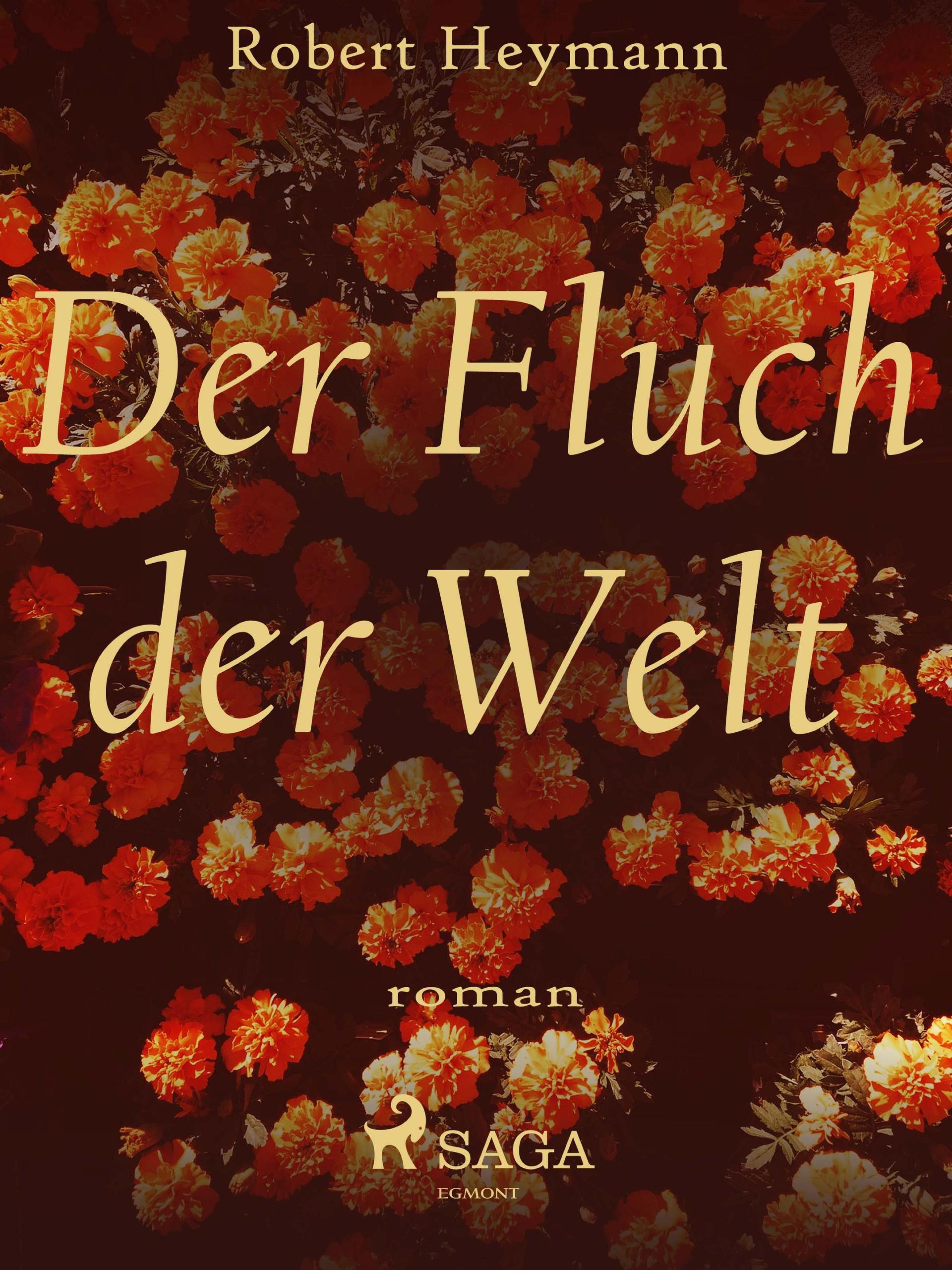 Обложка книги «Der Fluch der Welt»