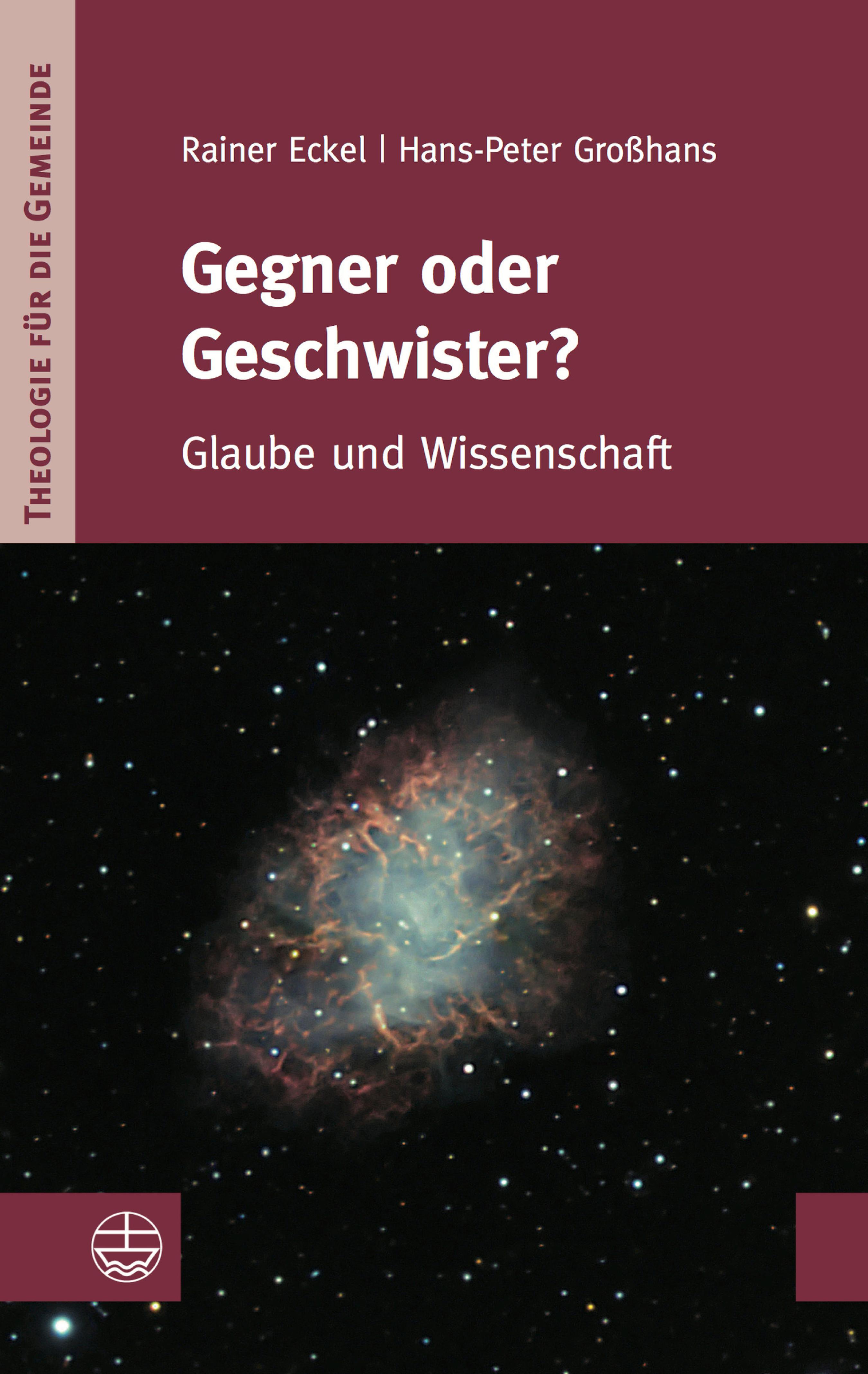 Обложка книги «Gegner oder Geschwister?»