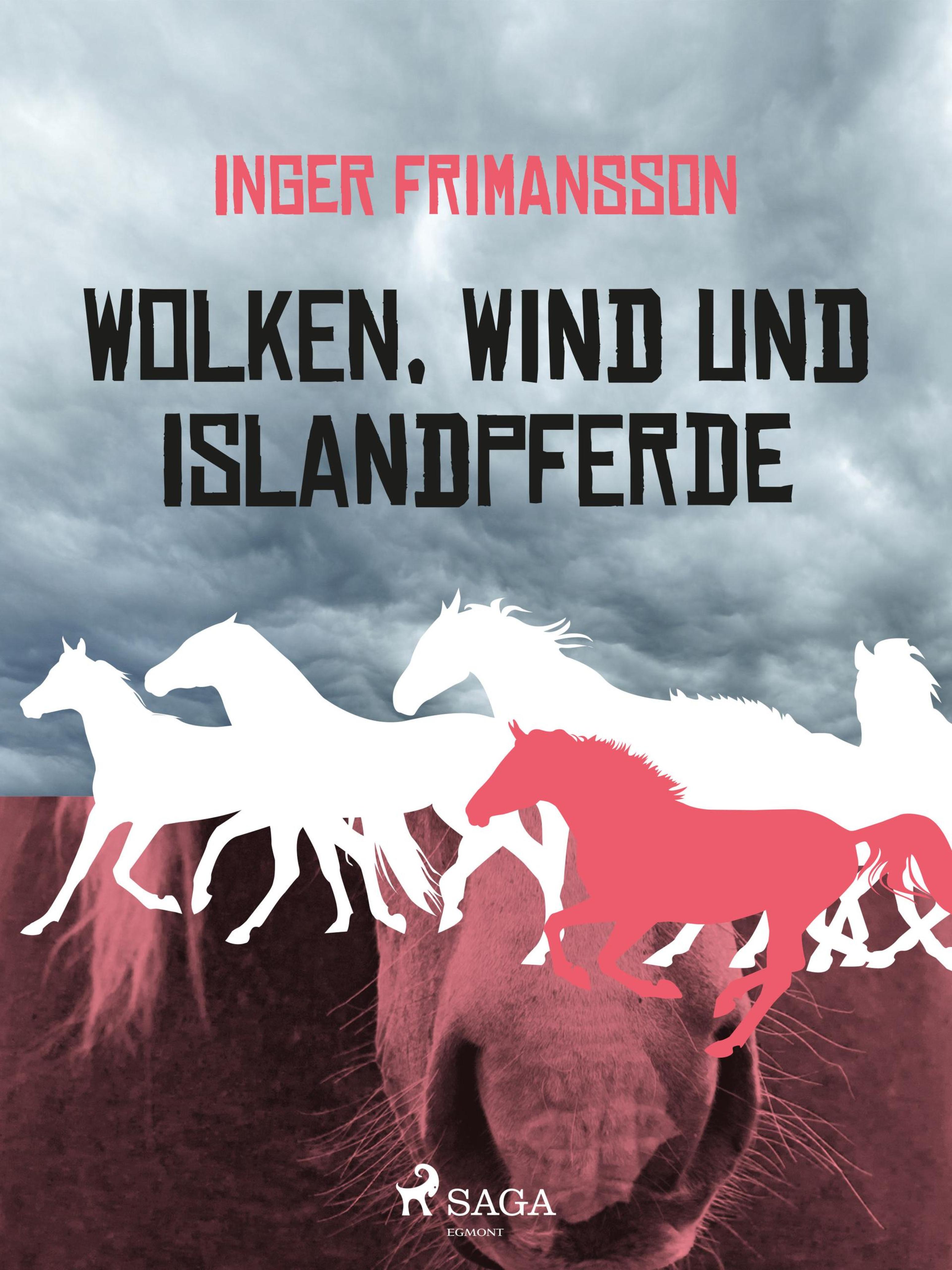 Обложка книги «Wolken, Wind und Islandpferde»