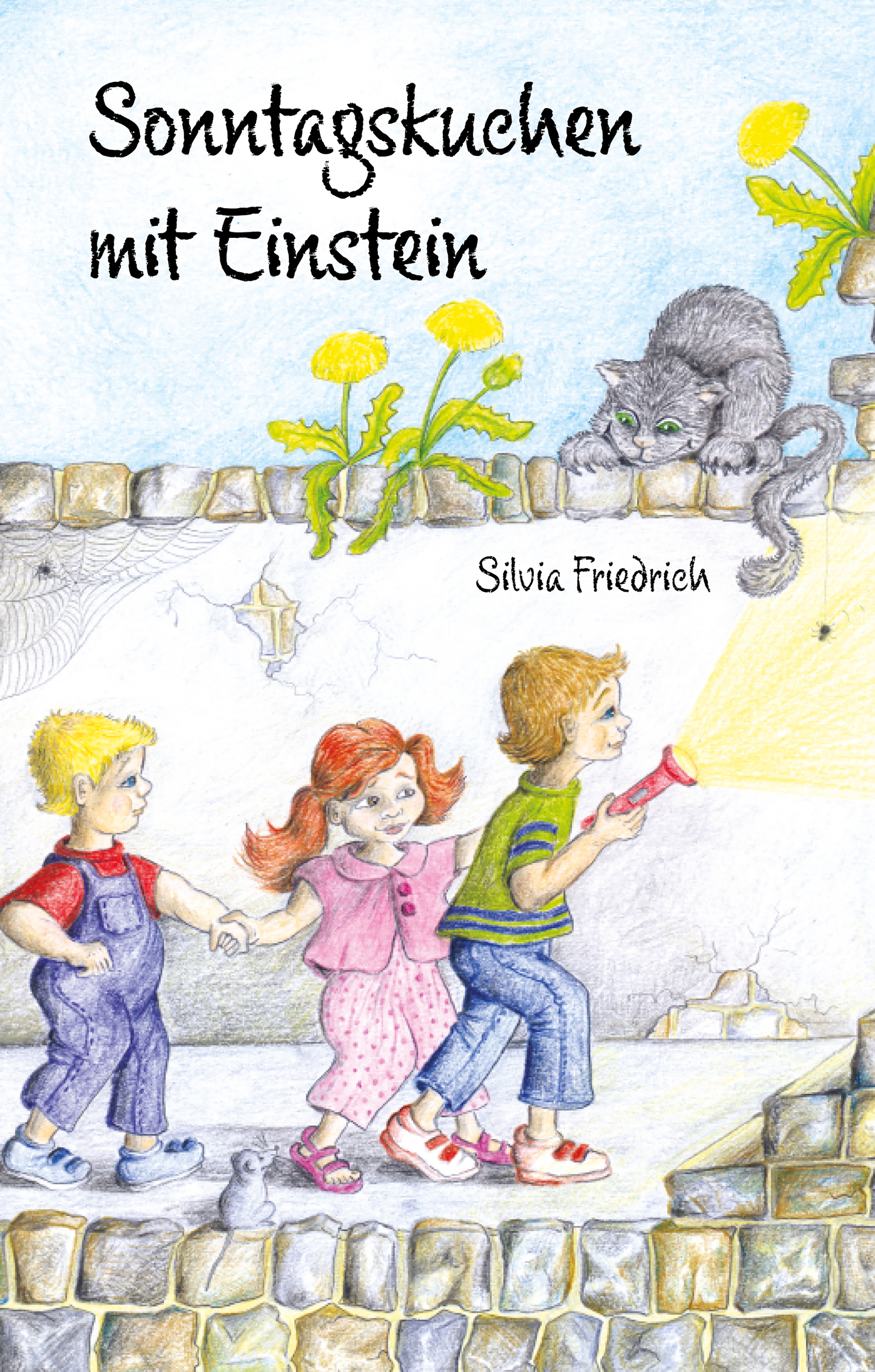 Обложка книги «Sonntagskuchen mit Einstein»
