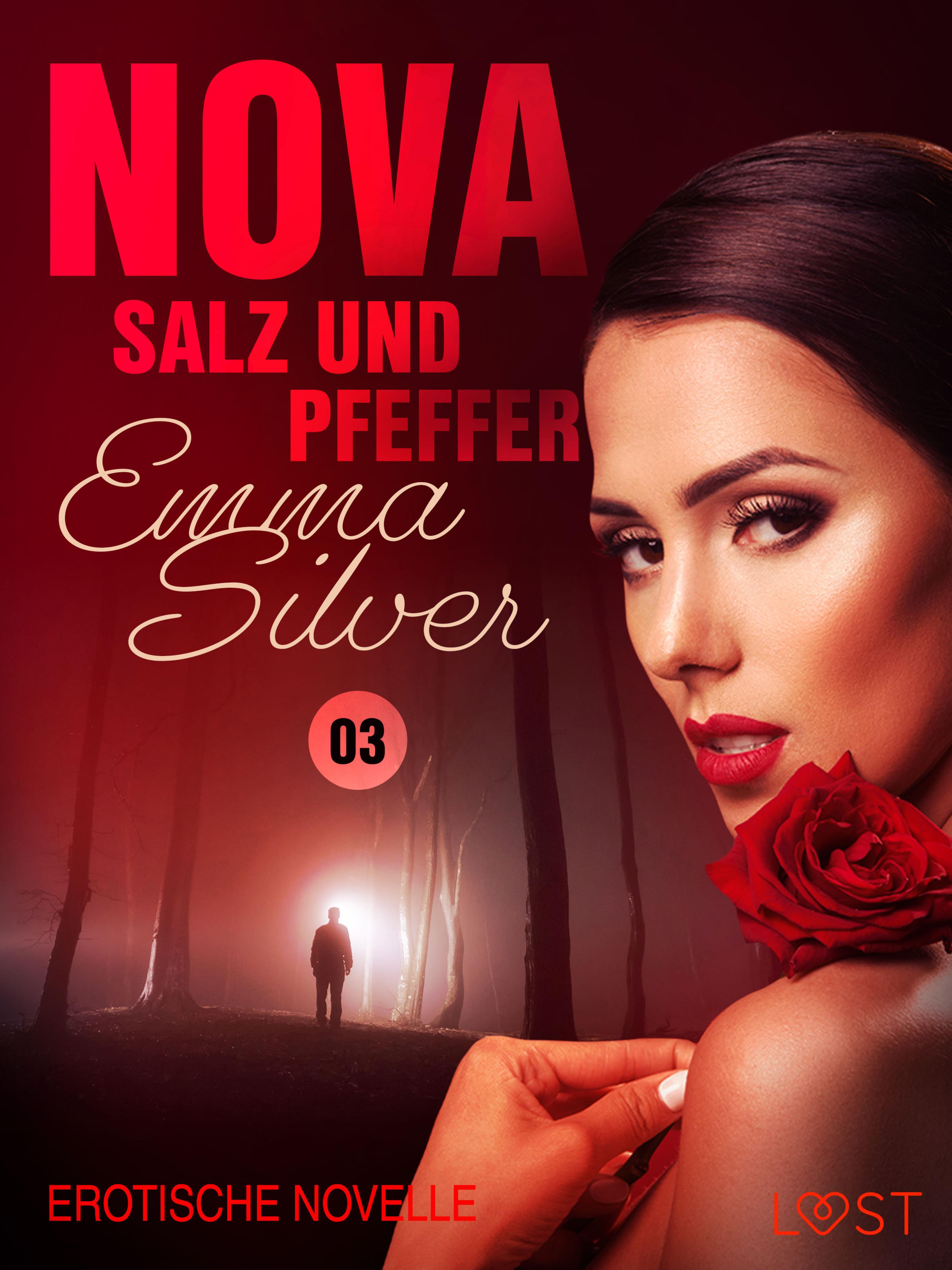 Обложка книги «Nova 3 - Salz und Pfeffer: Erotische Novelle»