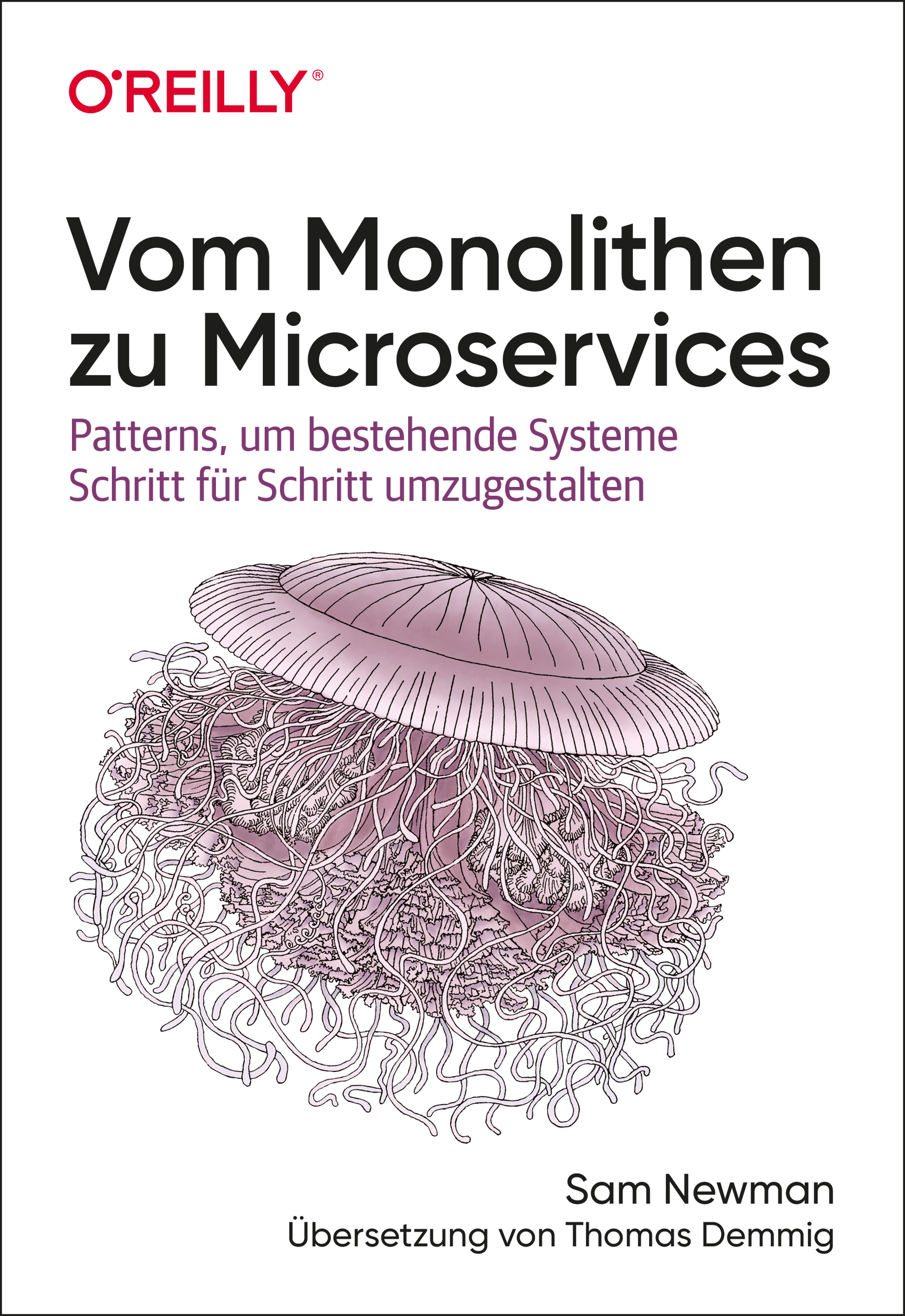 Обложка книги «Vom Monolithen zu Microservices»