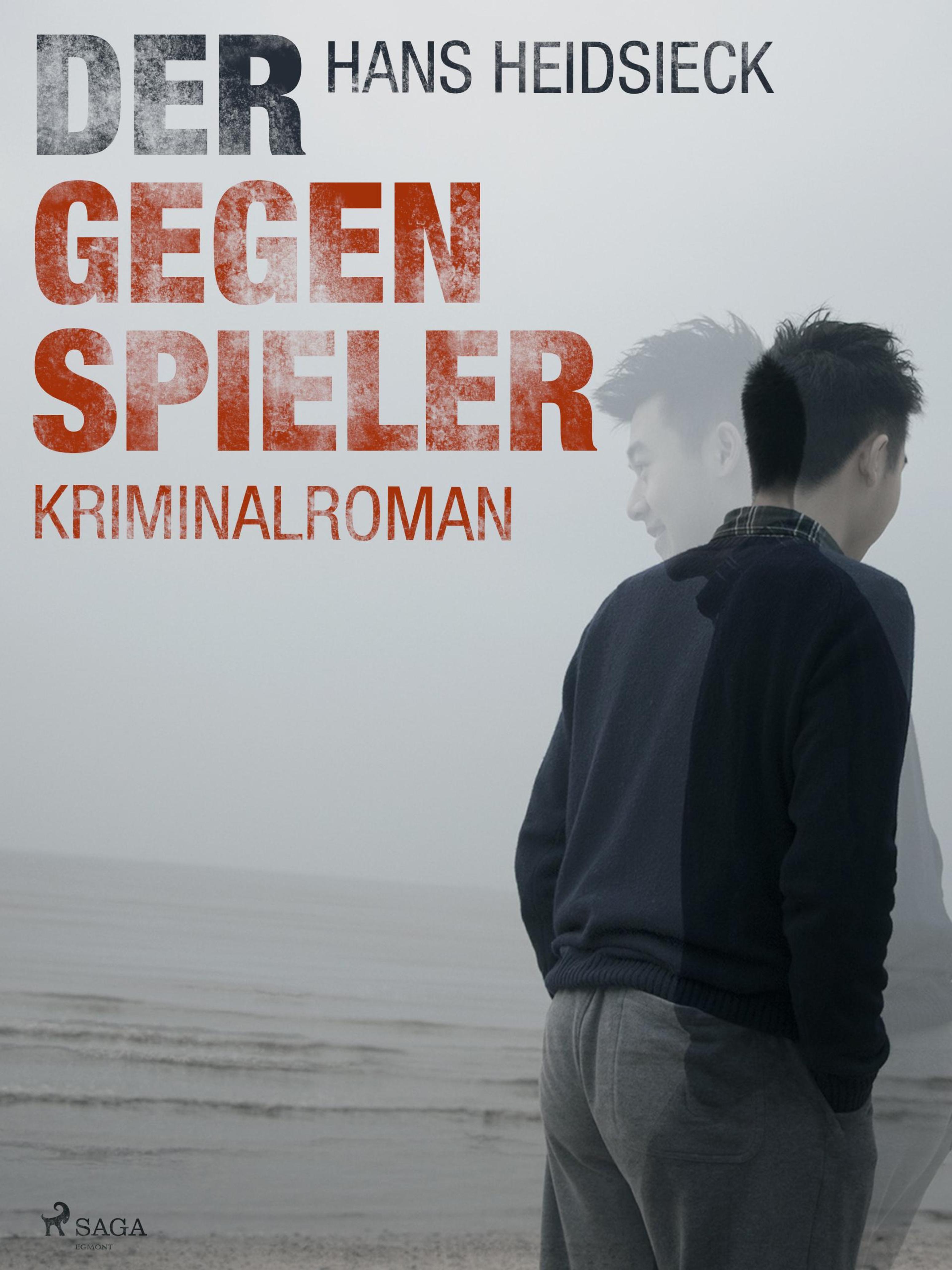Обложка книги «Der Gegenspieler»