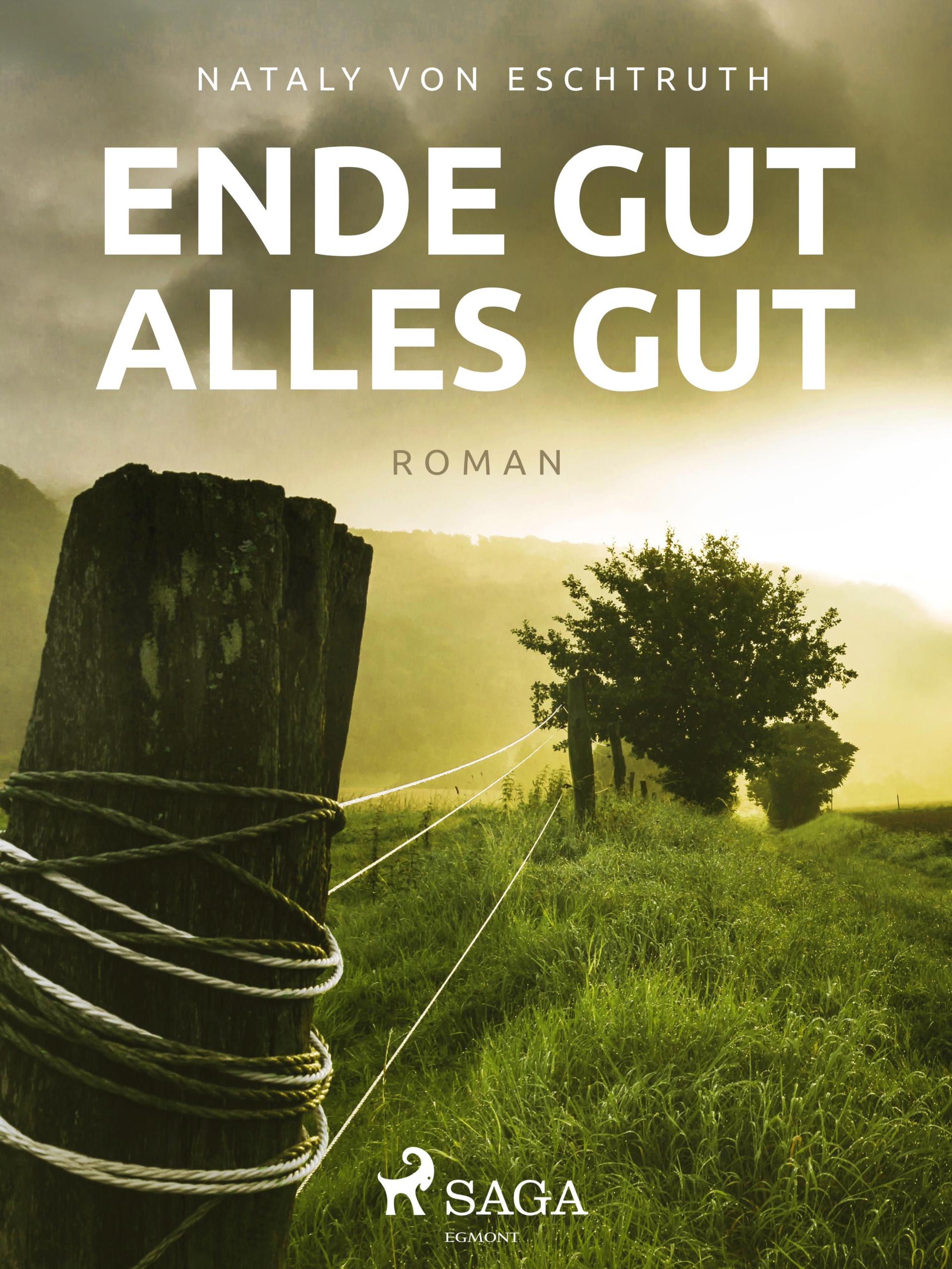 Обложка книги «Ende gut, alles gut»