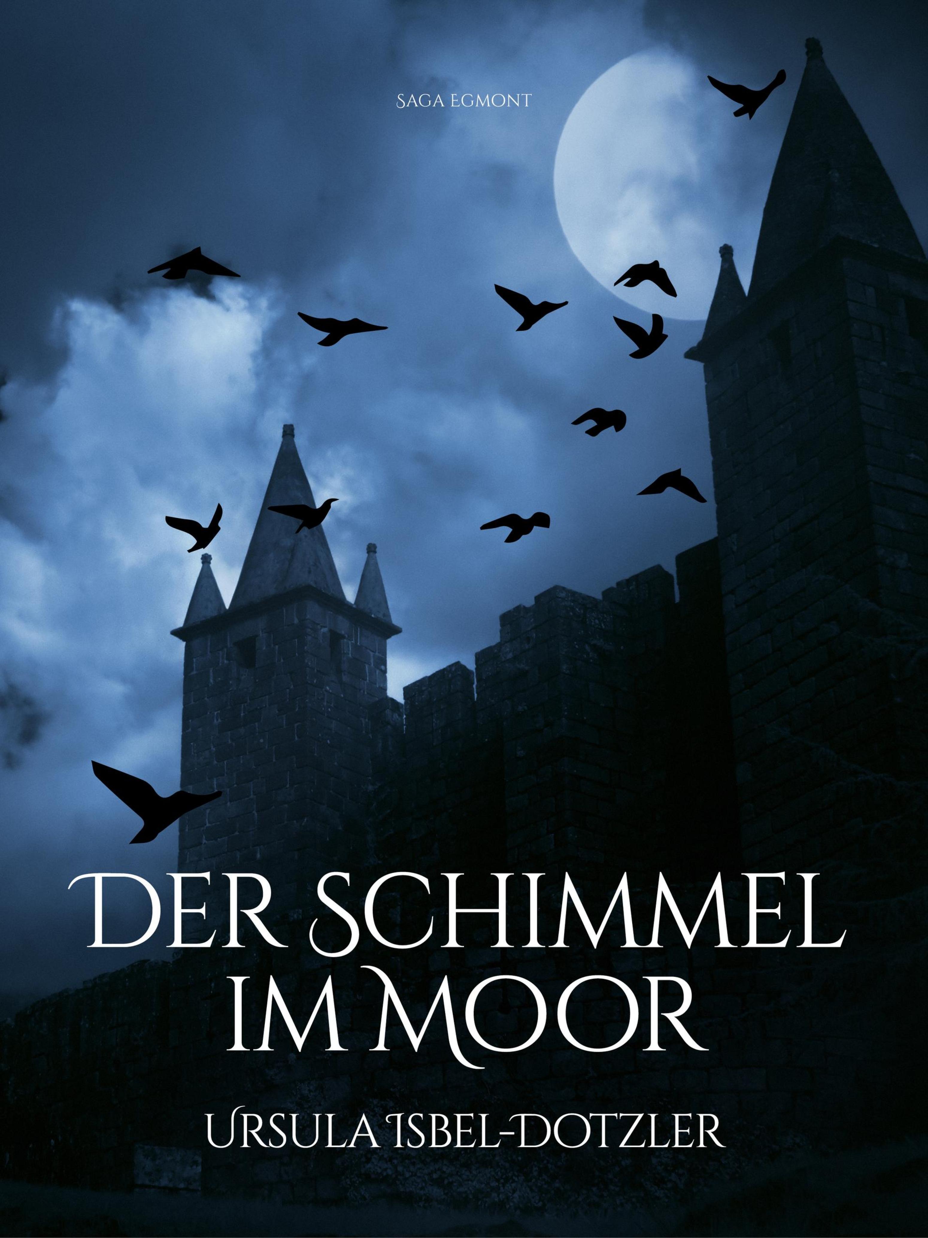 Обложка книги «Der Schimmel im Moor»