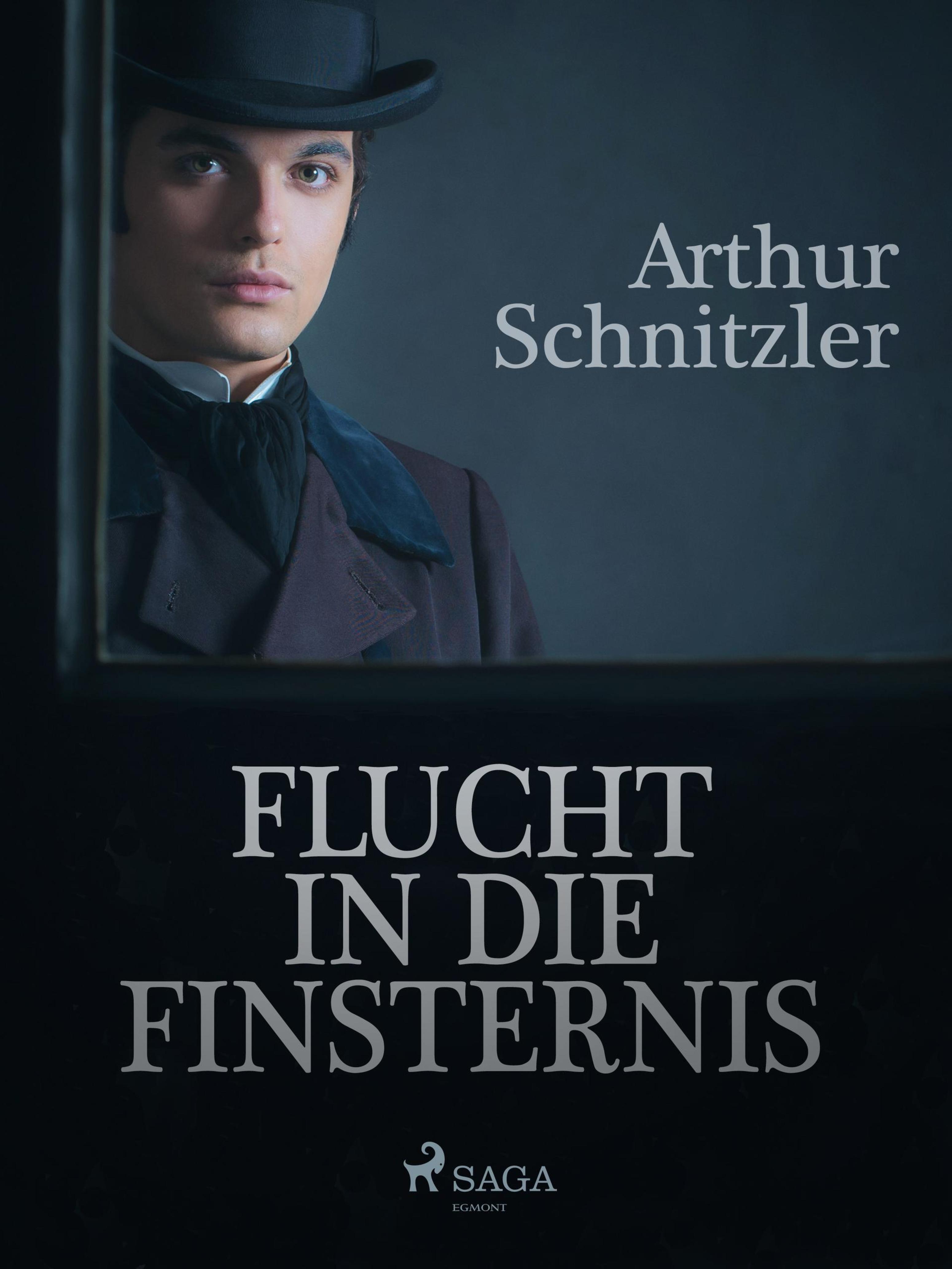 Обложка книги «Flucht in die Finsternis»