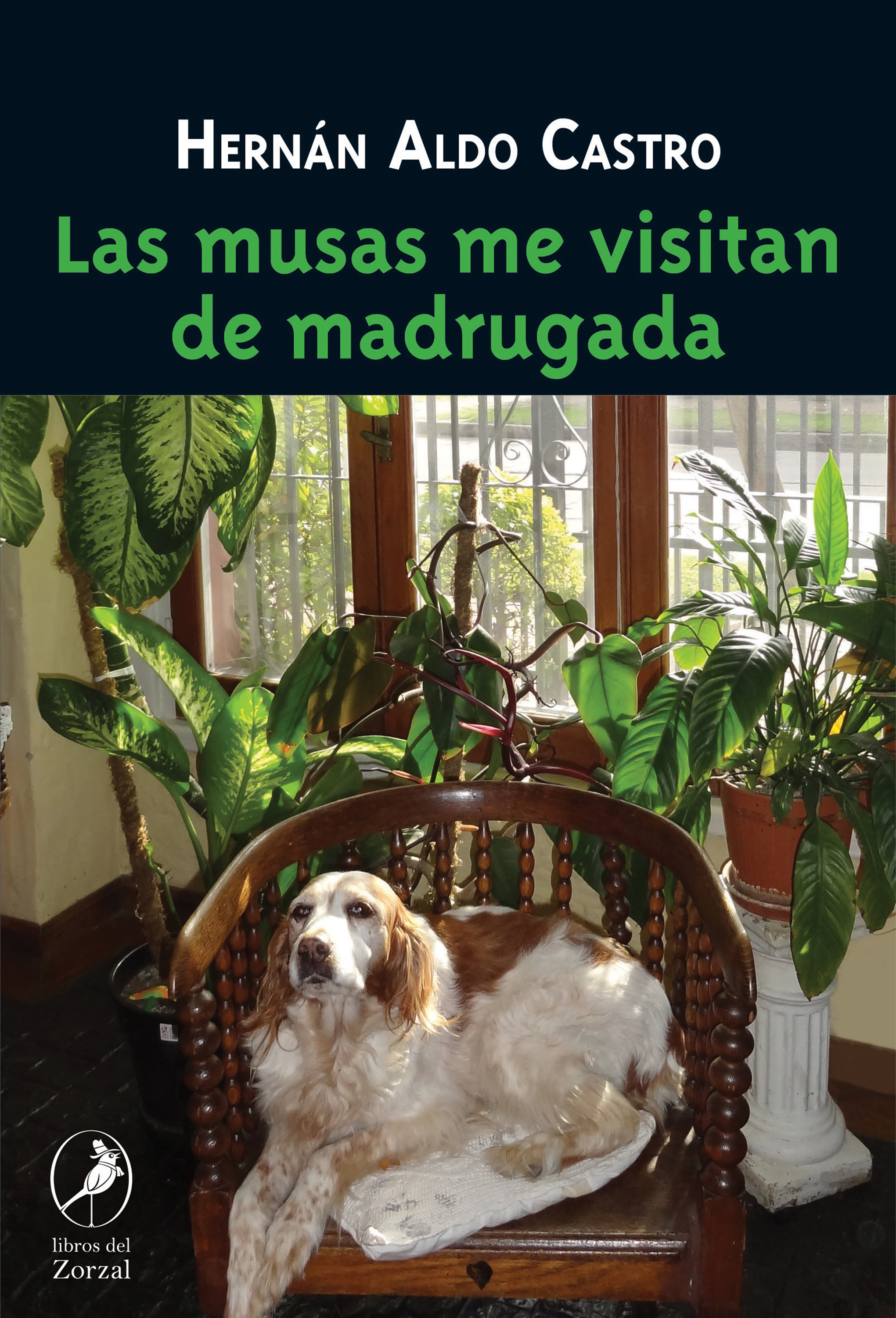 Обложка книги «Las musas me visitan de madrugada»