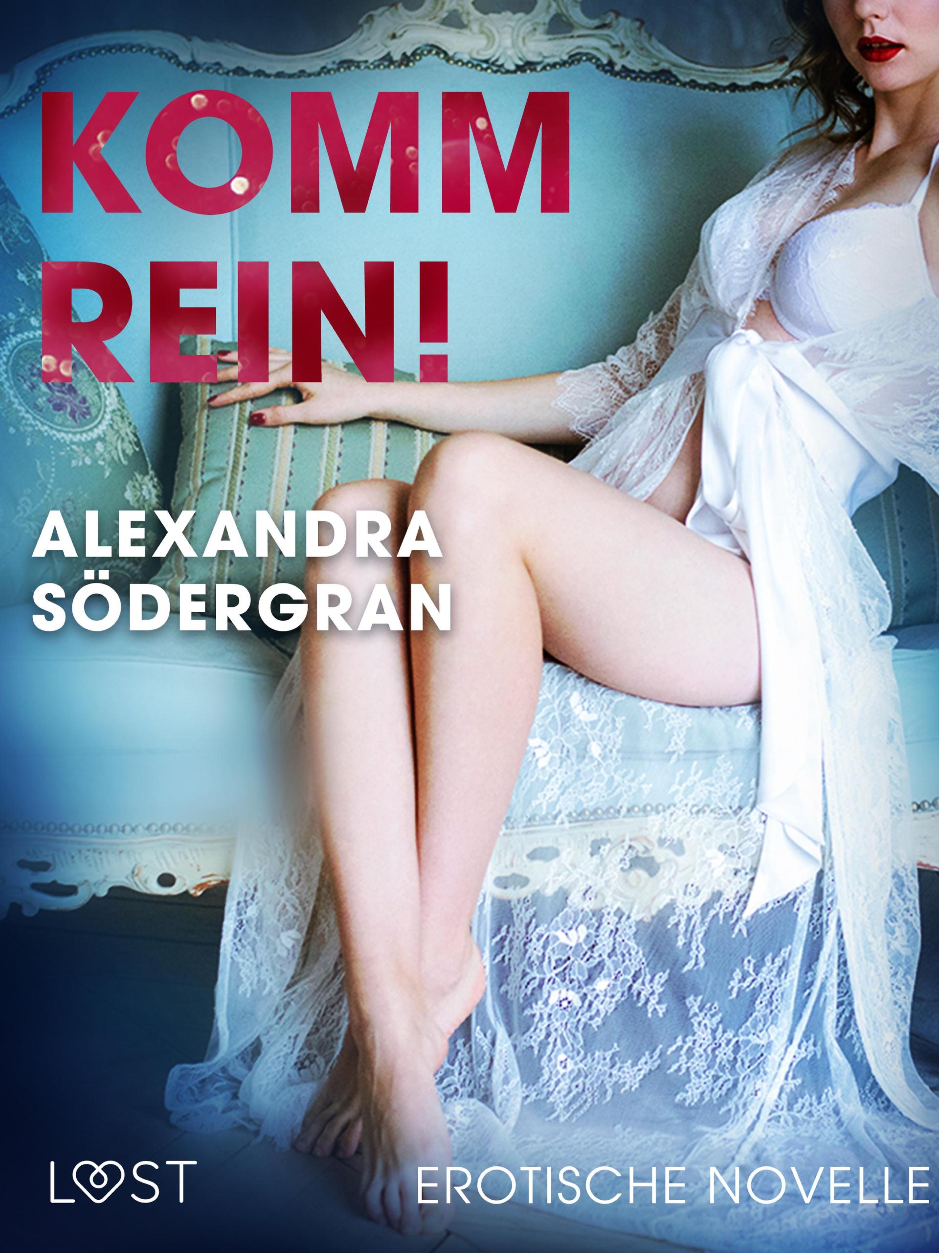 Обложка книги «Komm rein! Erotische Novelle»