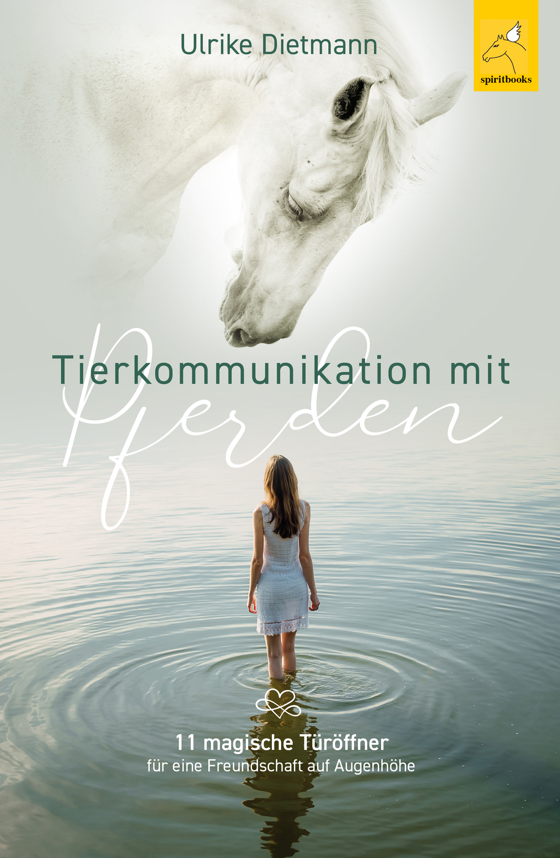 Обложка книги «Tierkommunikation mit Pferden»