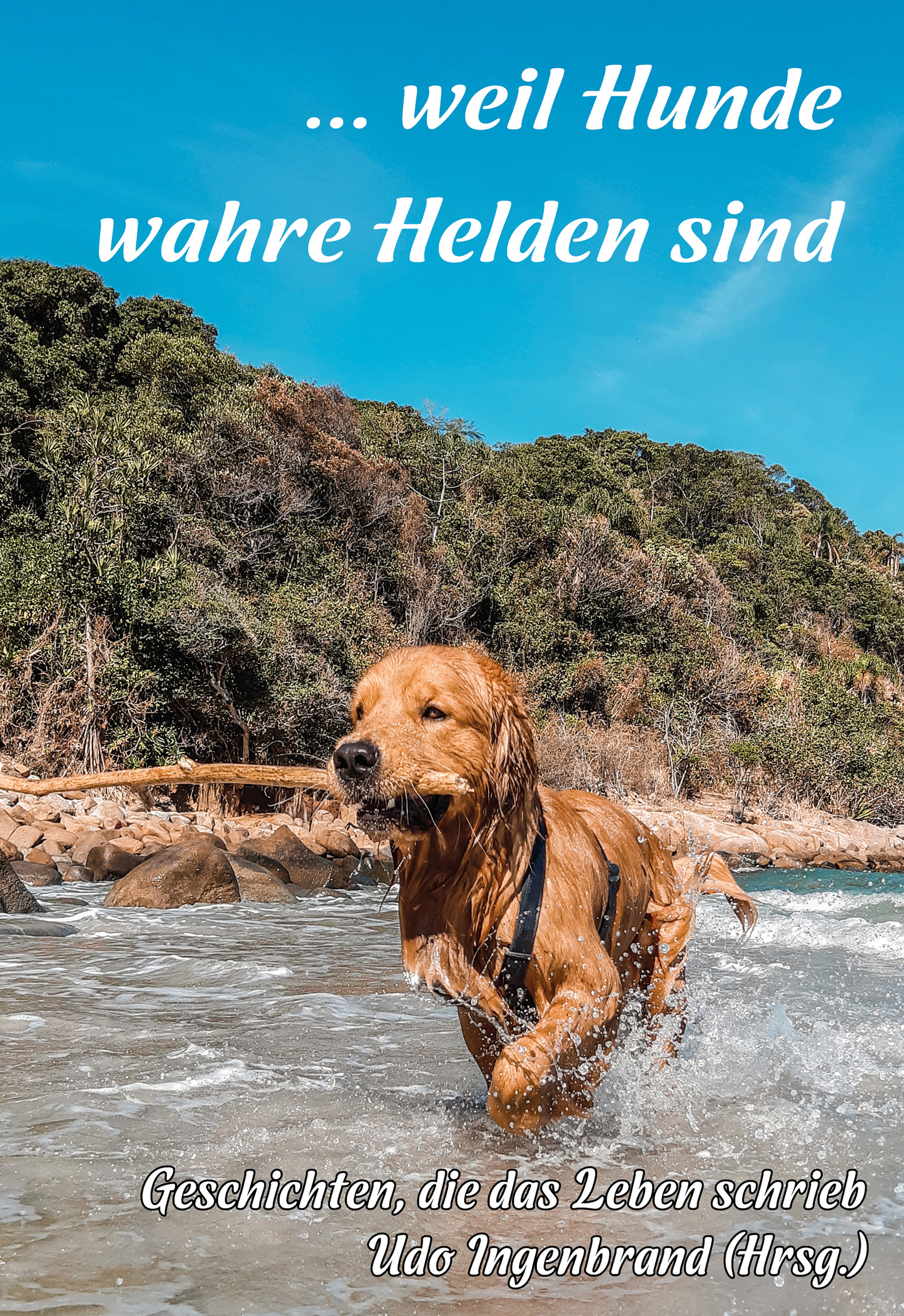 Обложка книги «... weil Hunde wahre Helden sind»