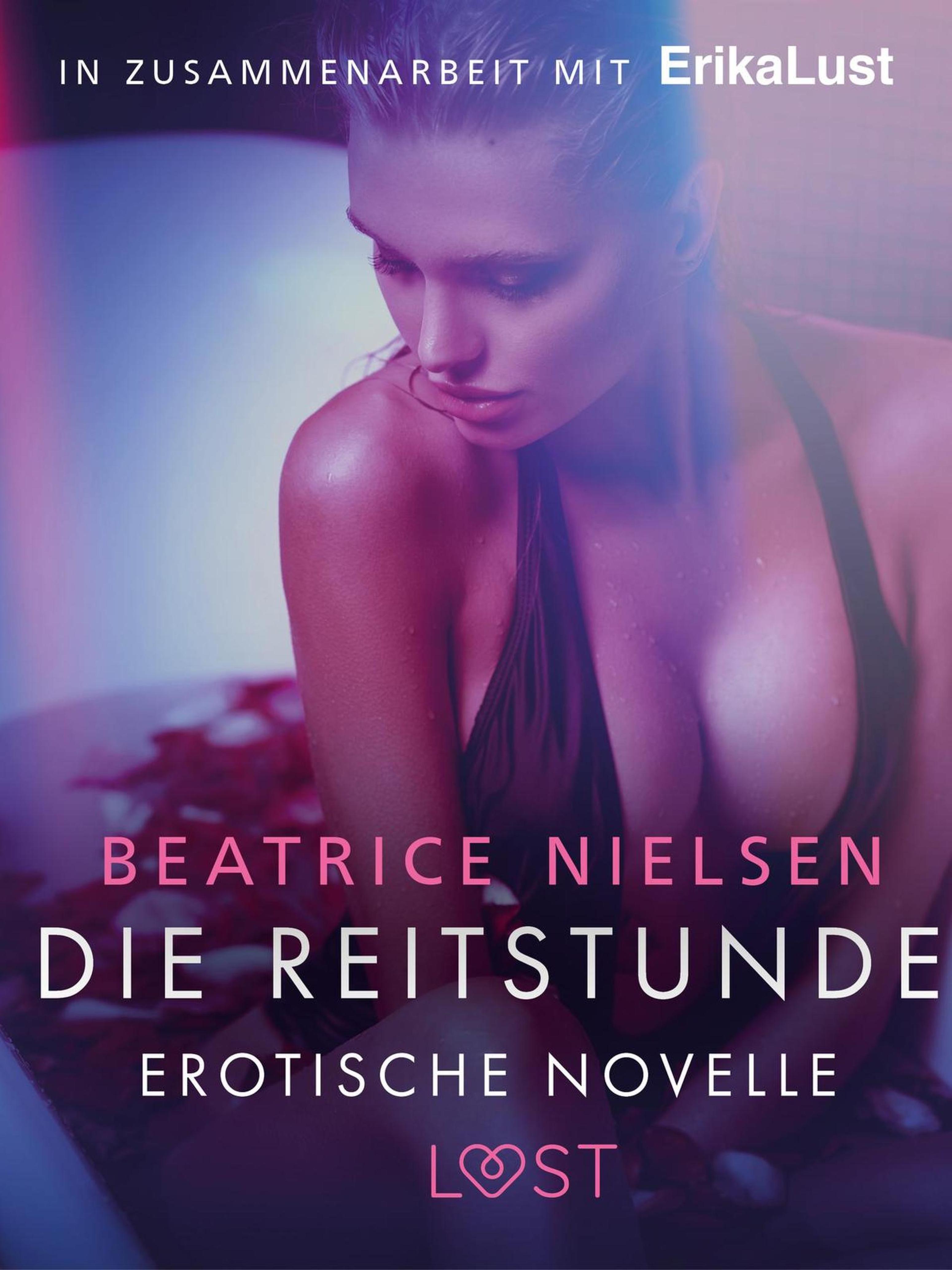 Обложка книги «Die Reitstunde - Erotische Novelle»