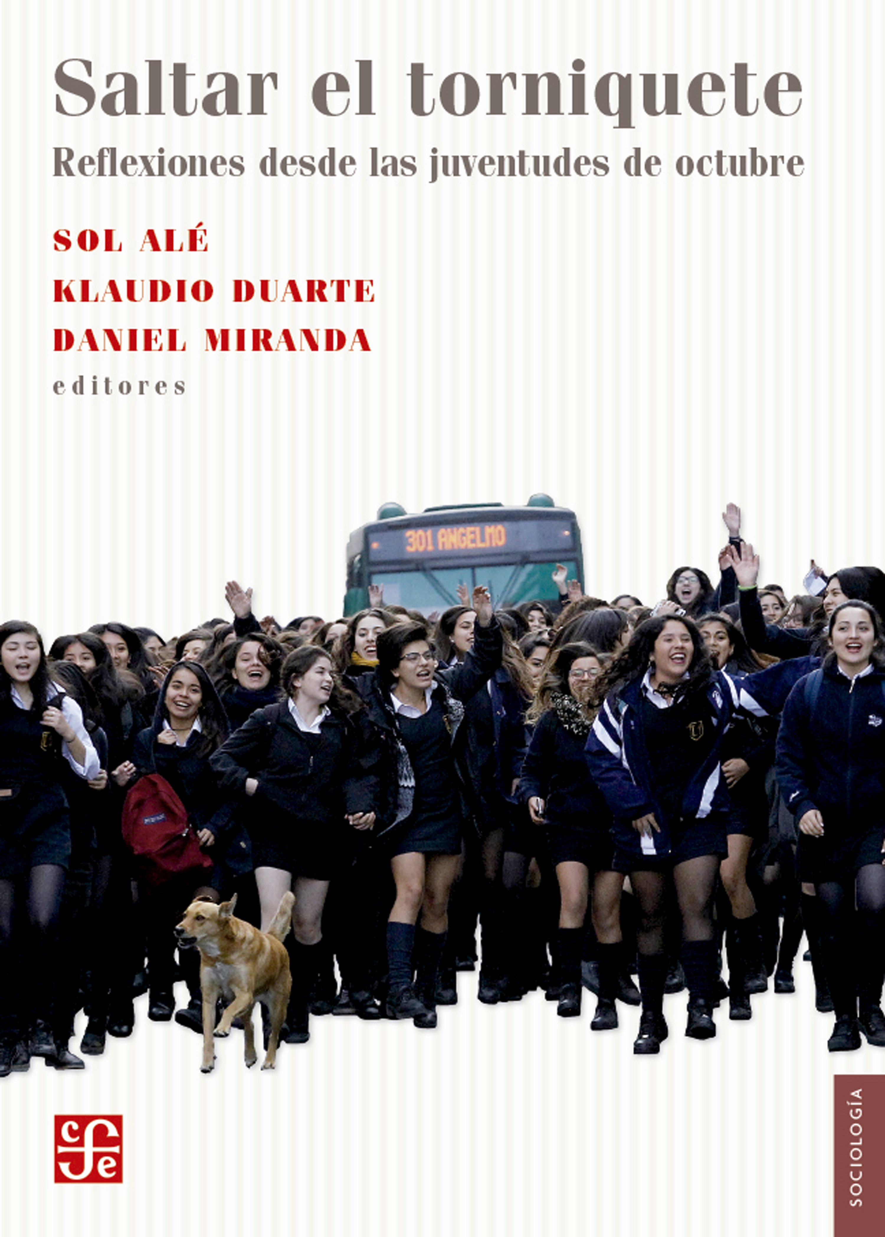 Обложка книги «Saltar el torniquete»