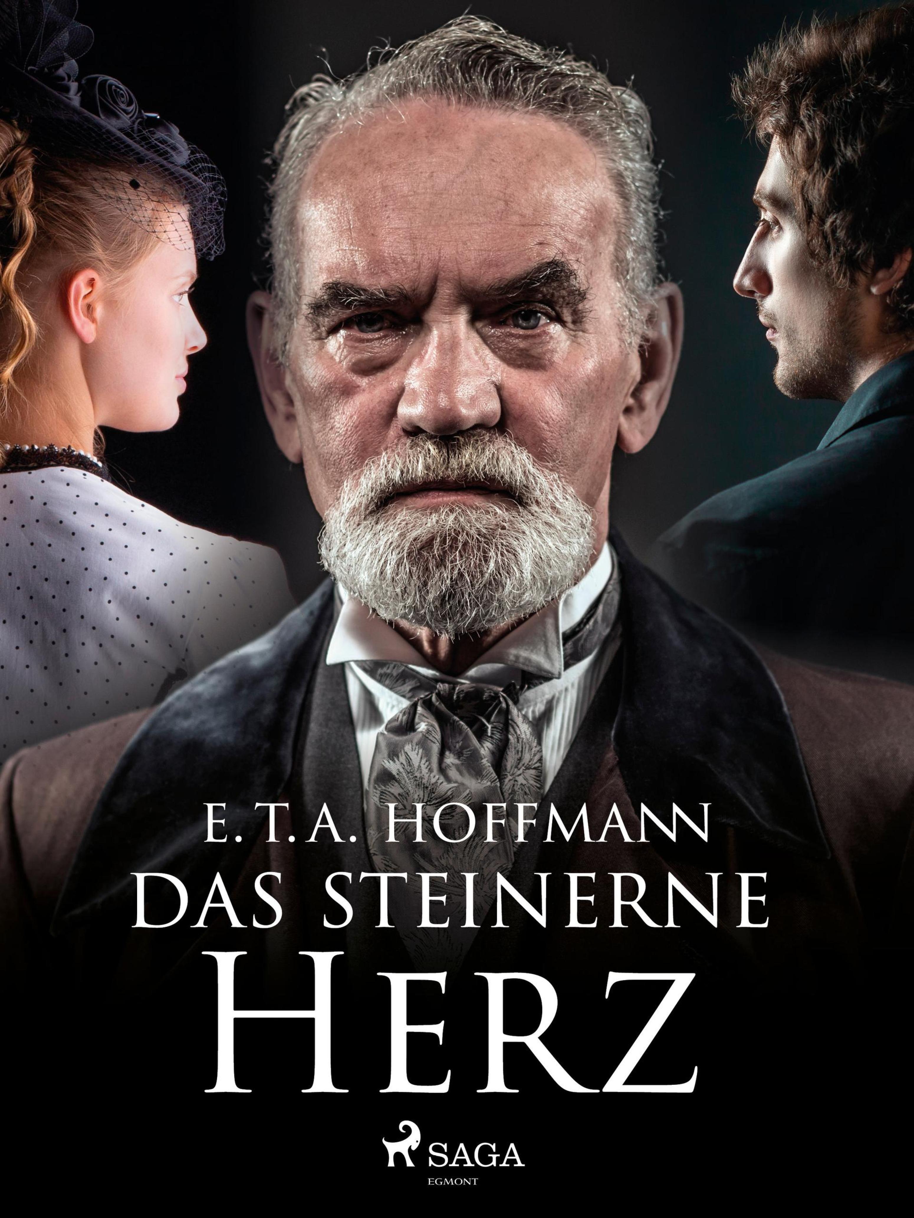 Обложка книги «Das steinerne Herz»