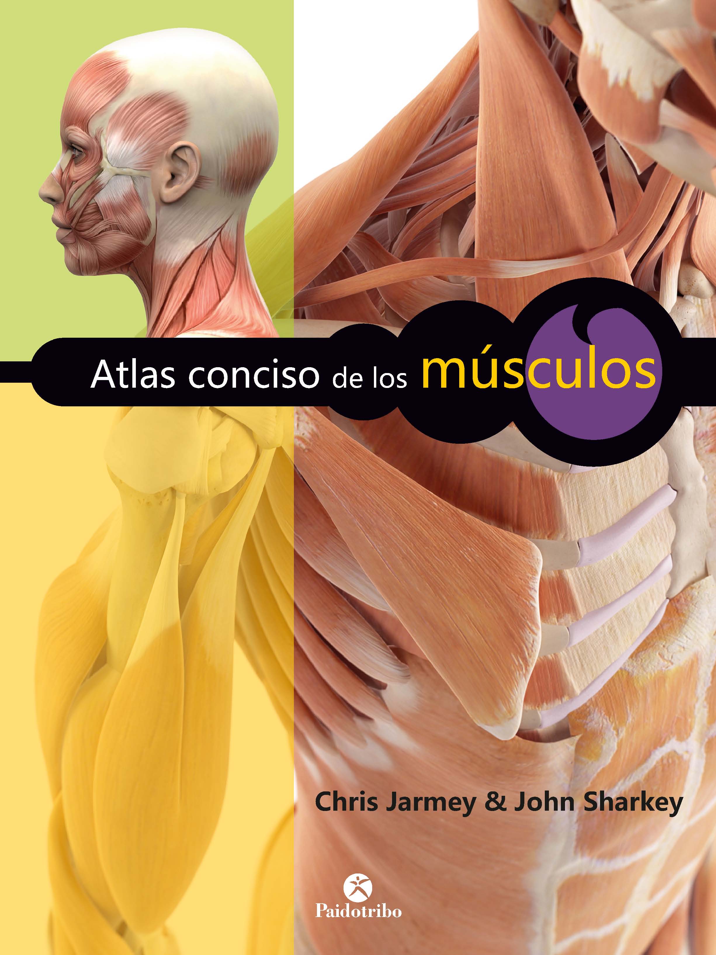 Обложка книги «Atlas conciso de los músculos»
