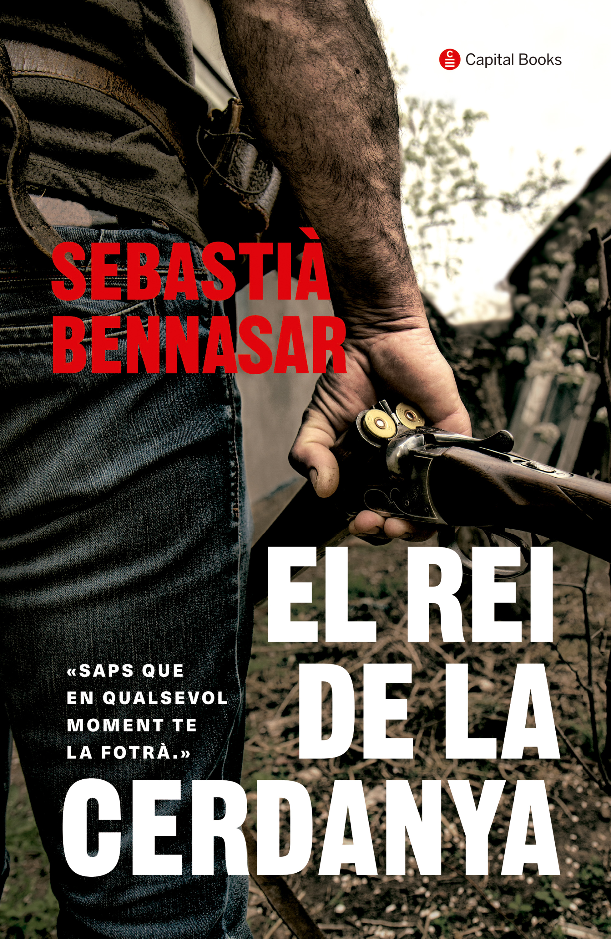 Обложка книги «El rei de la Cerdanya»