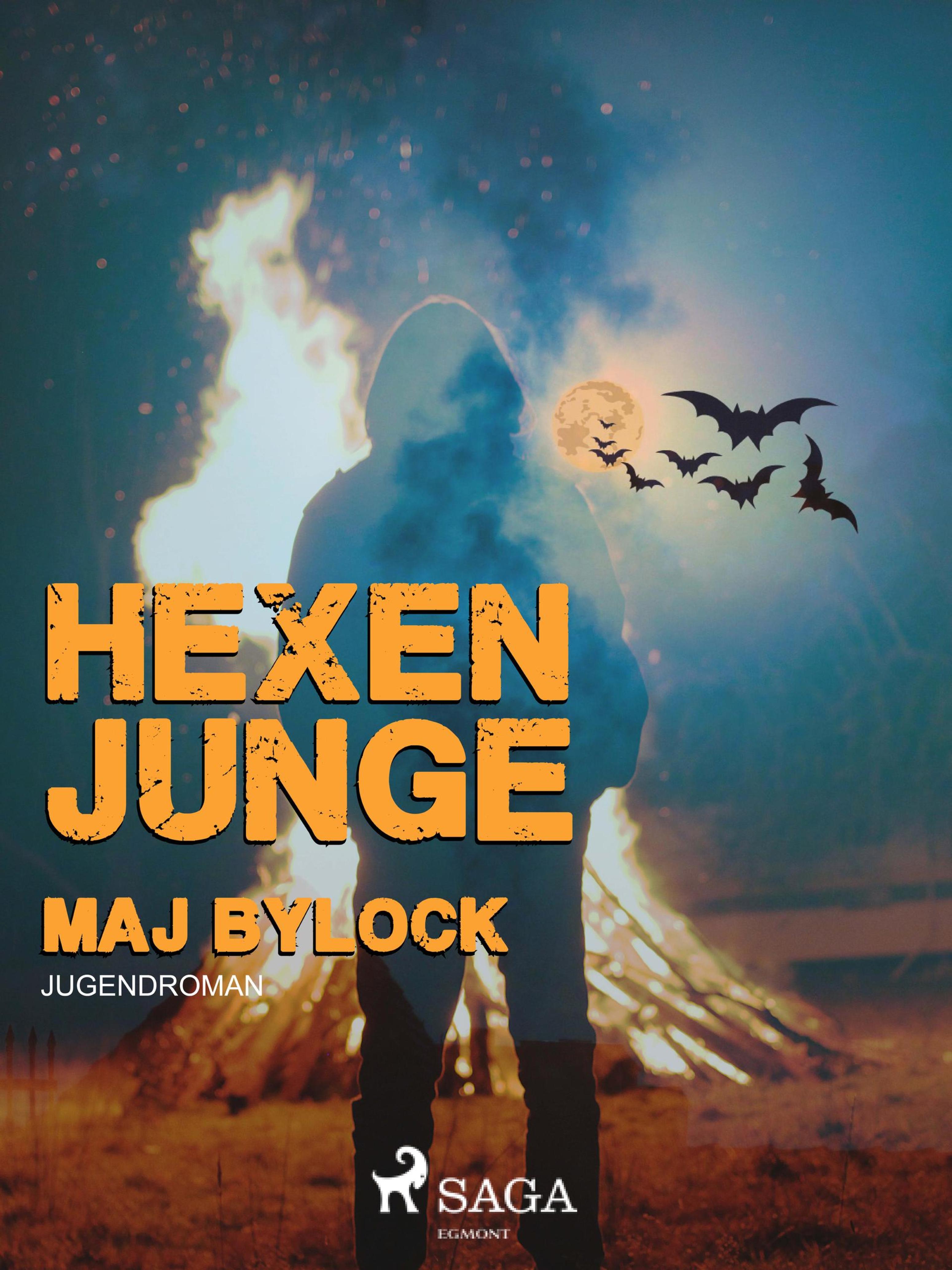 Обложка книги «Hexenjunge»