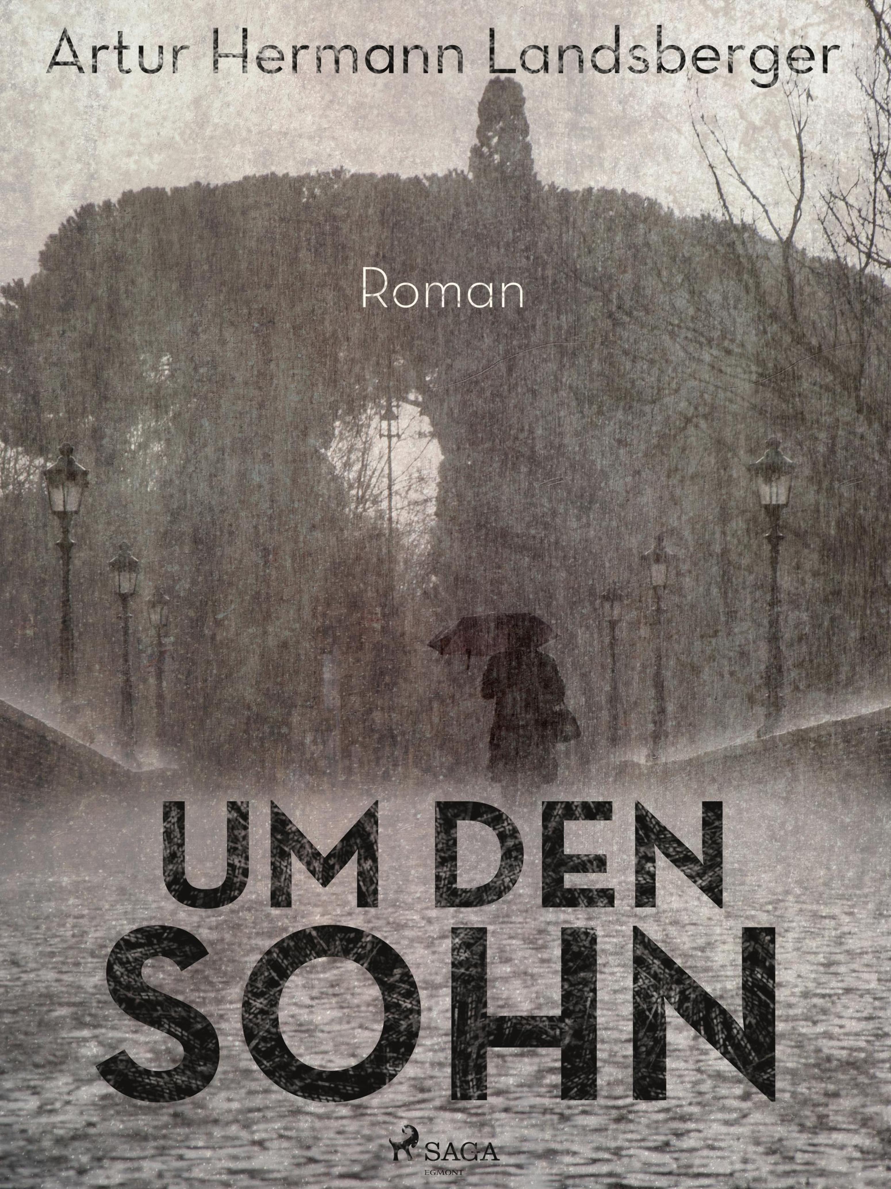 Обложка книги «Um den Sohn»