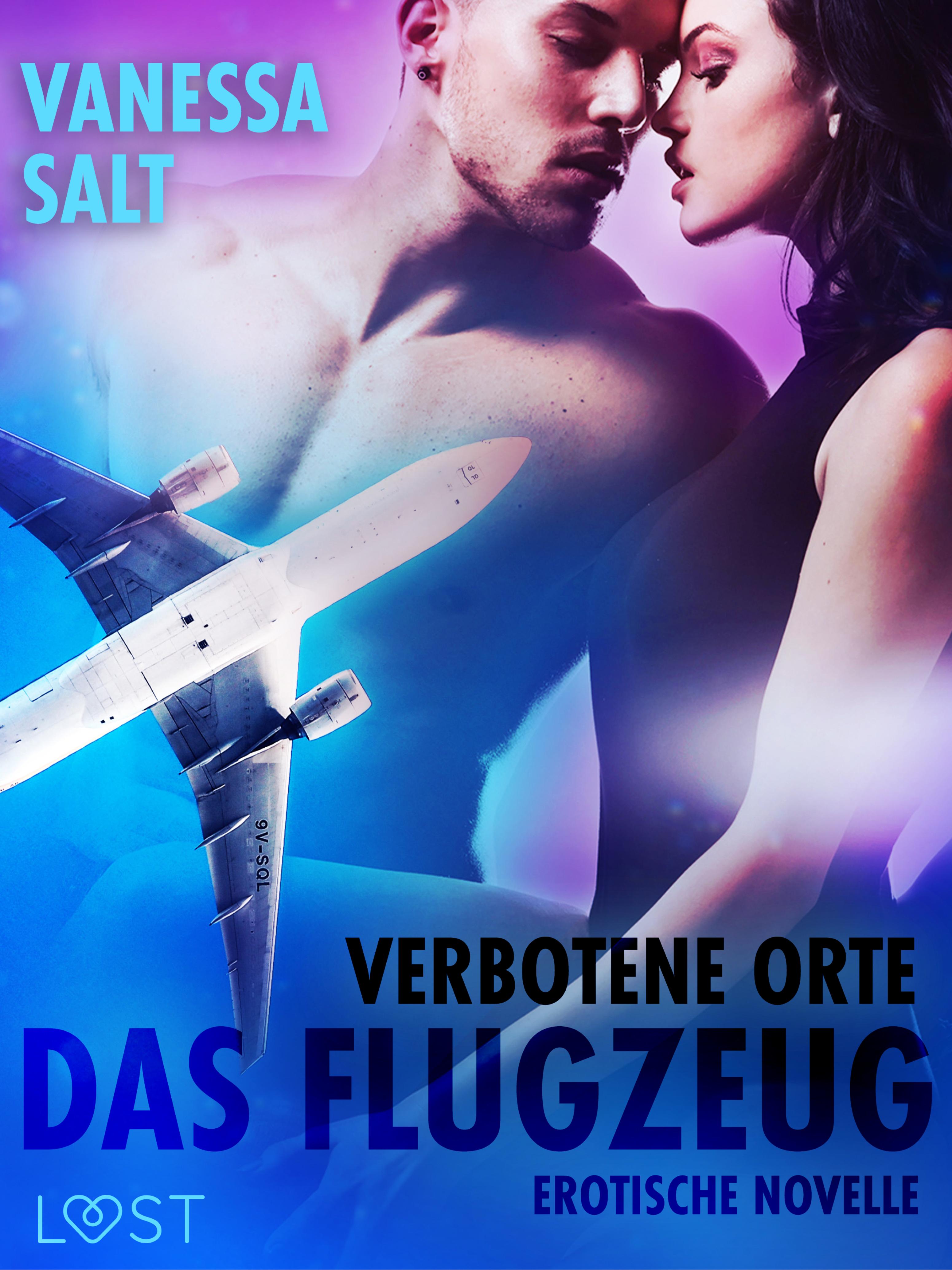 Обложка книги «Verbotene Orte: Das Flugzeug - Erotische Novelle»