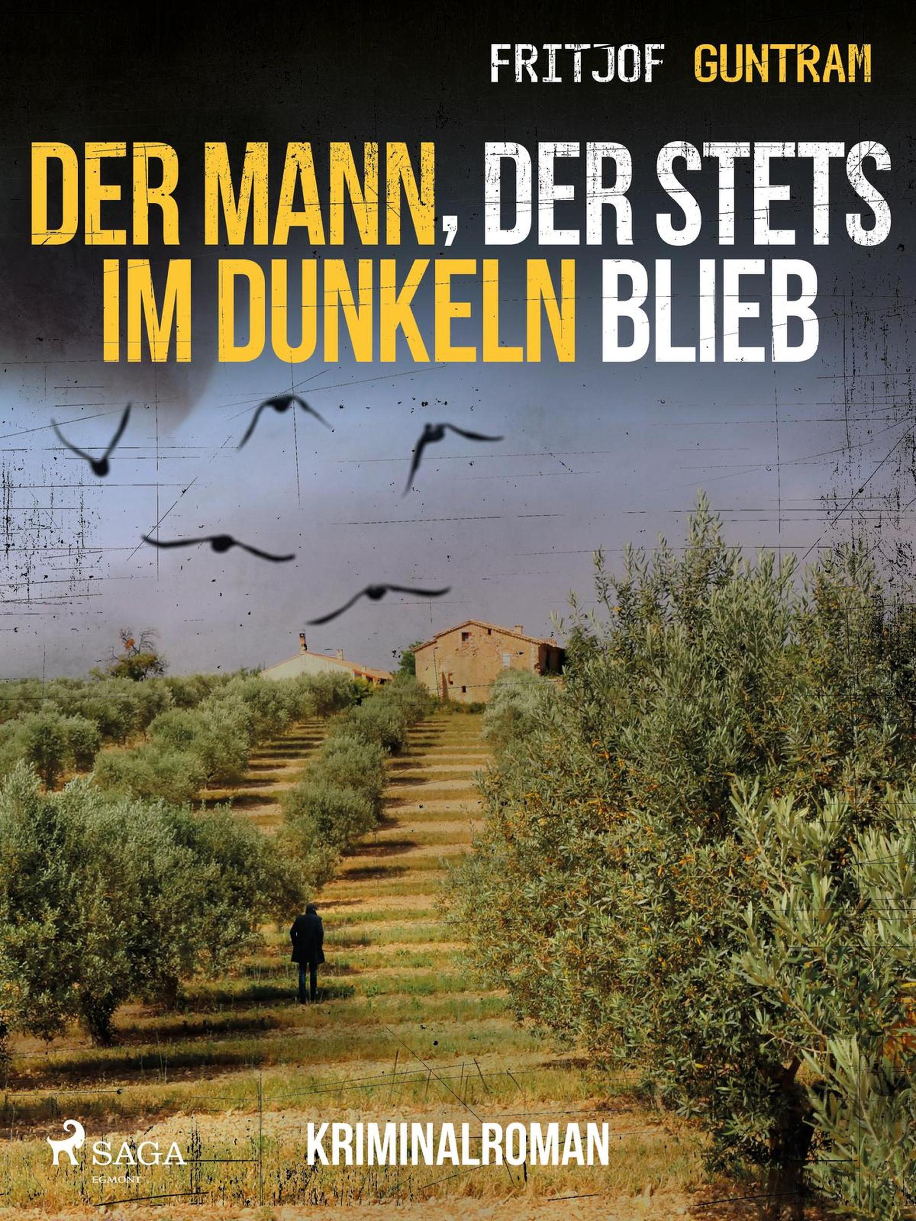 Обложка книги «Der Mann, der stets im Dunkeln blieb - Kriminalroman»