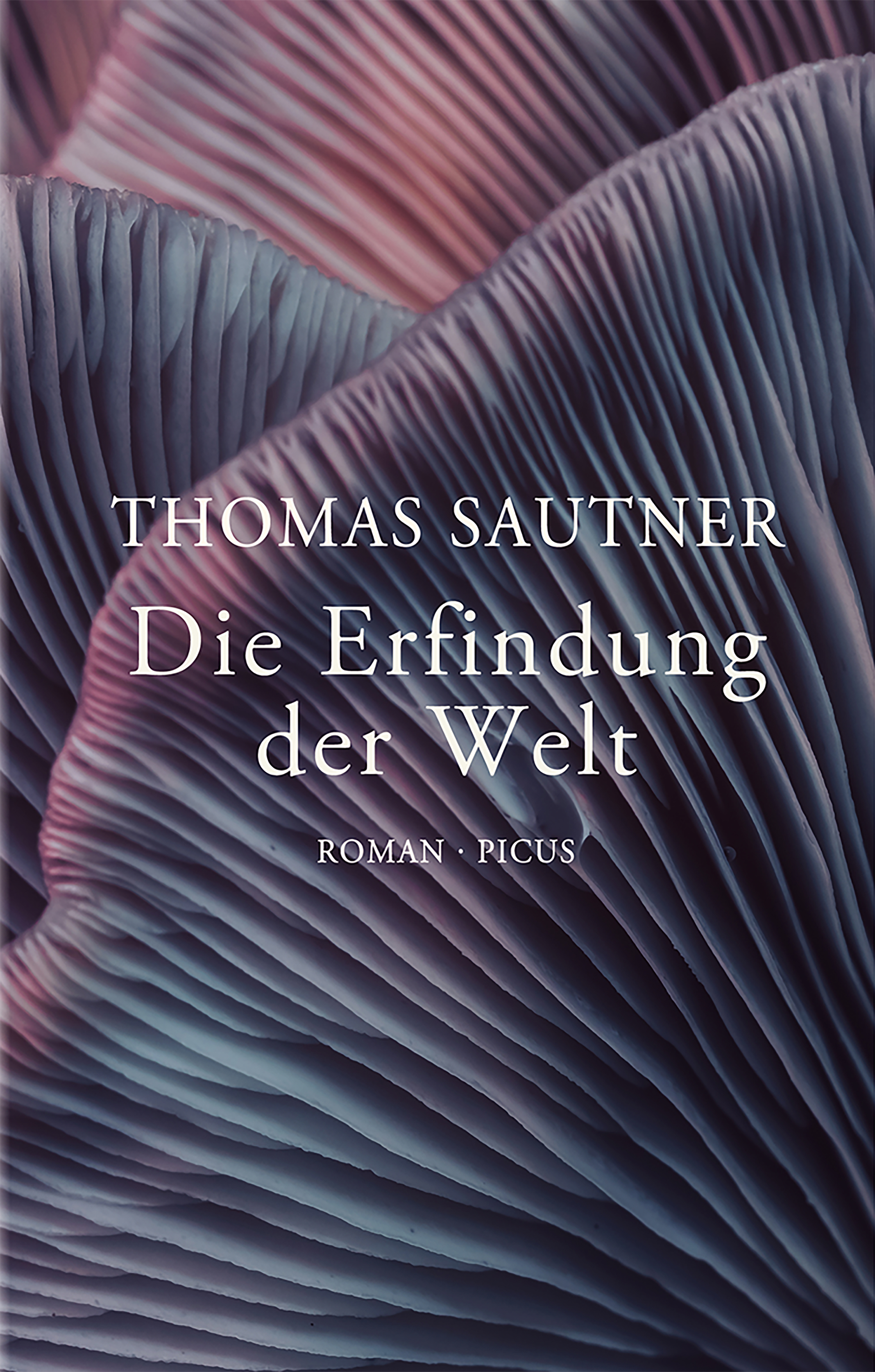 Обложка книги «Die Erfindung der Welt»