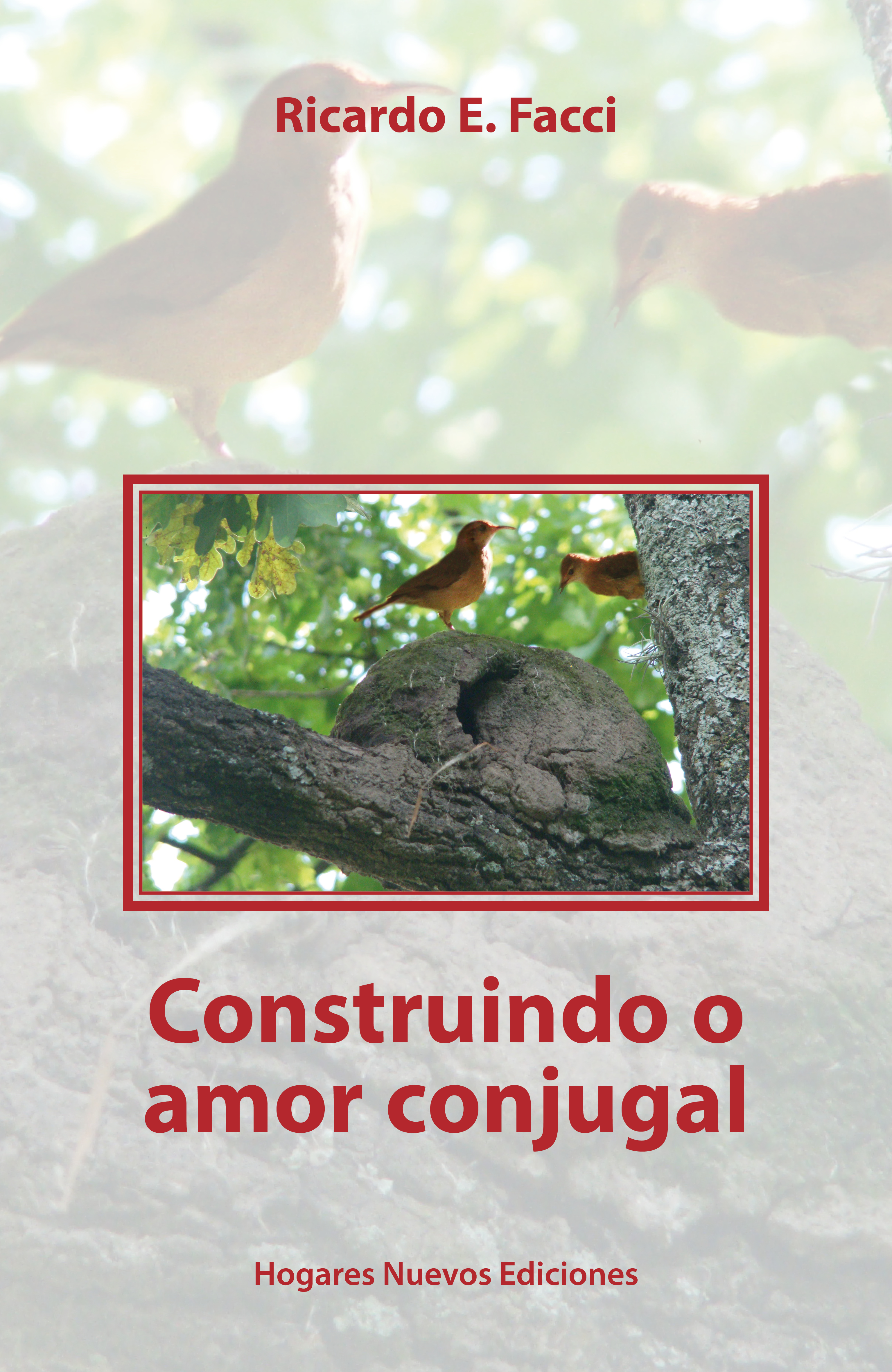 Обложка книги «Constriundo o amor conjugal»