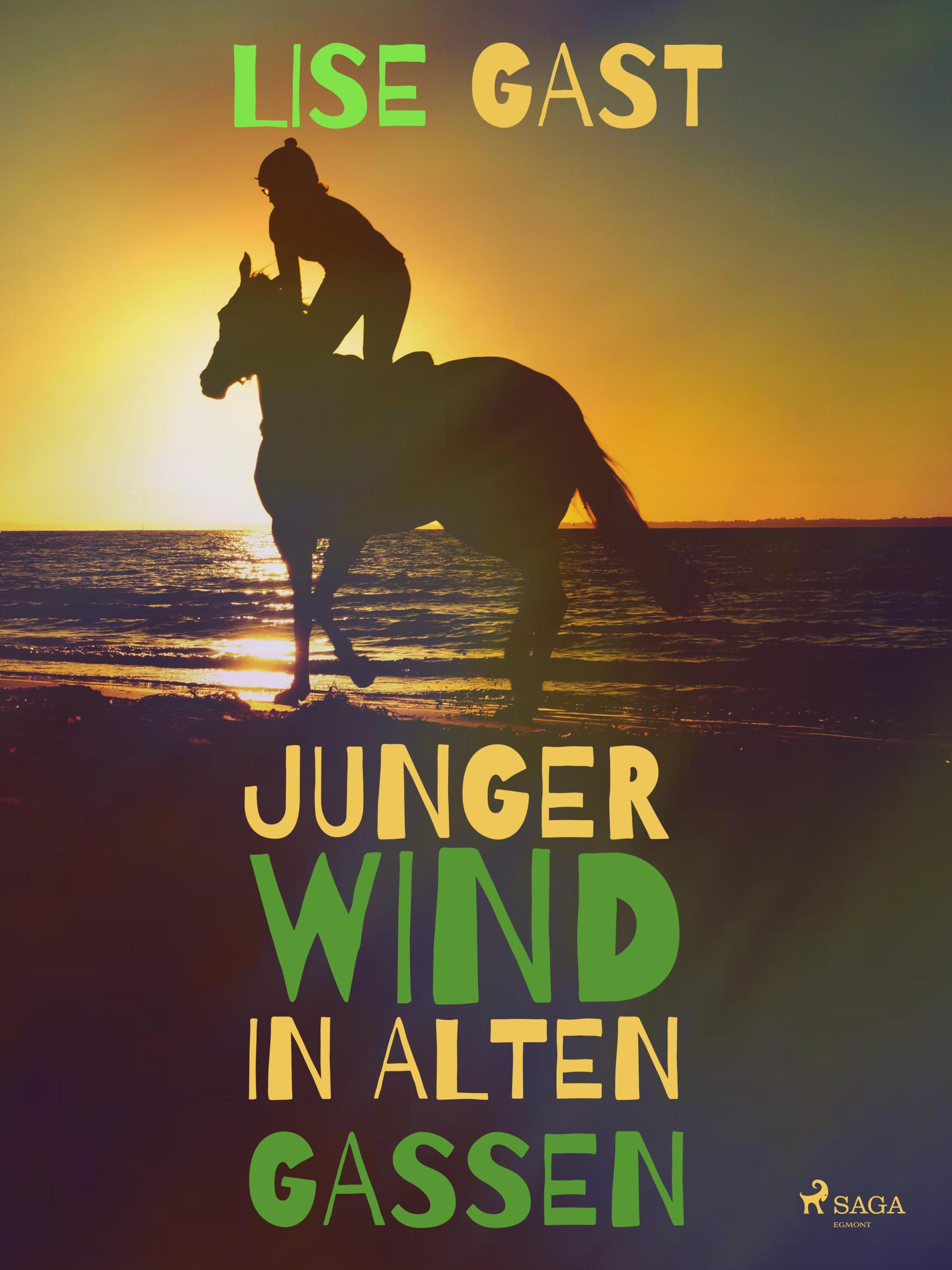 Обложка книги «Junger Wind in alten Gassen»
