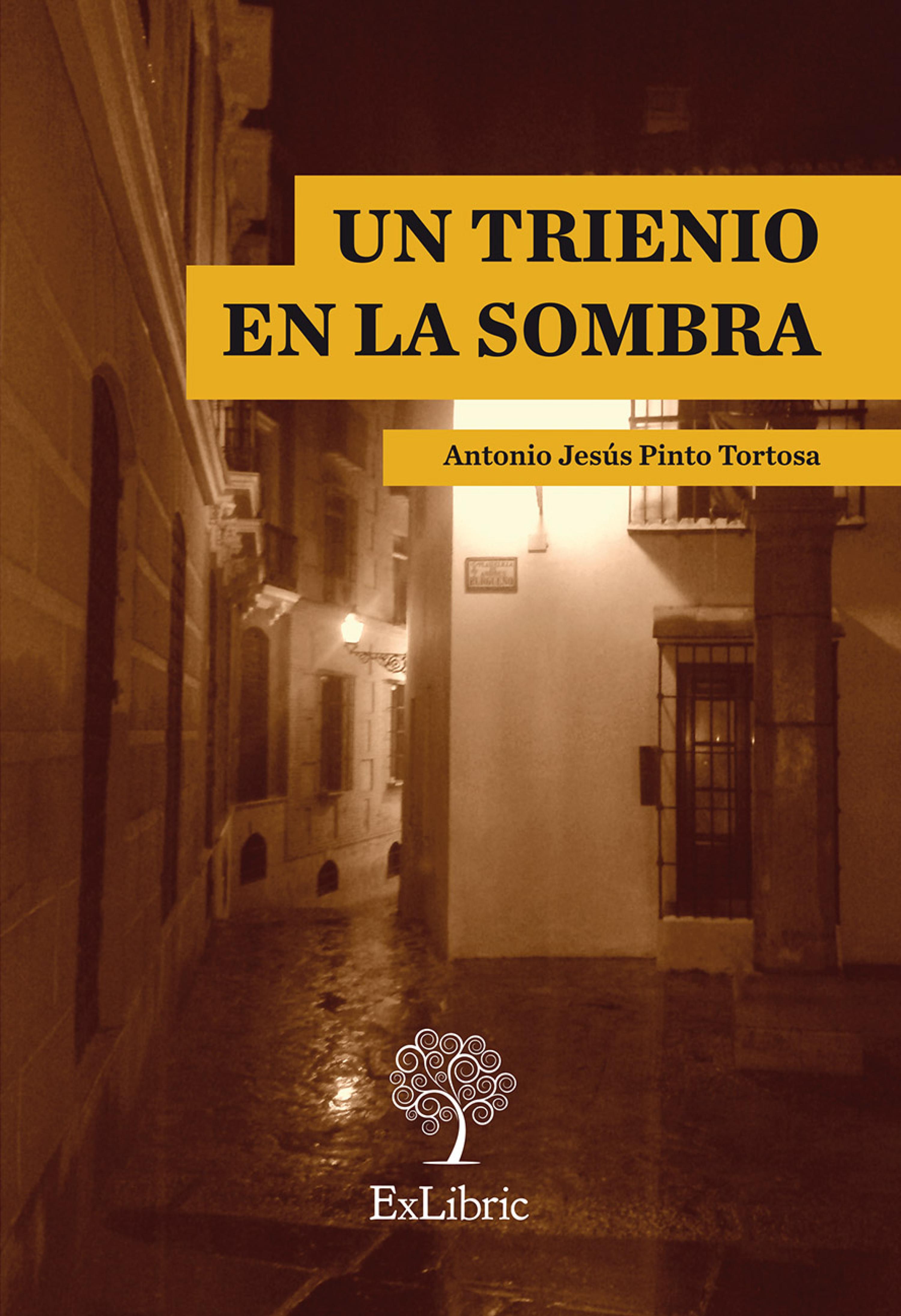 Обложка книги «Un trienio en la sombra»