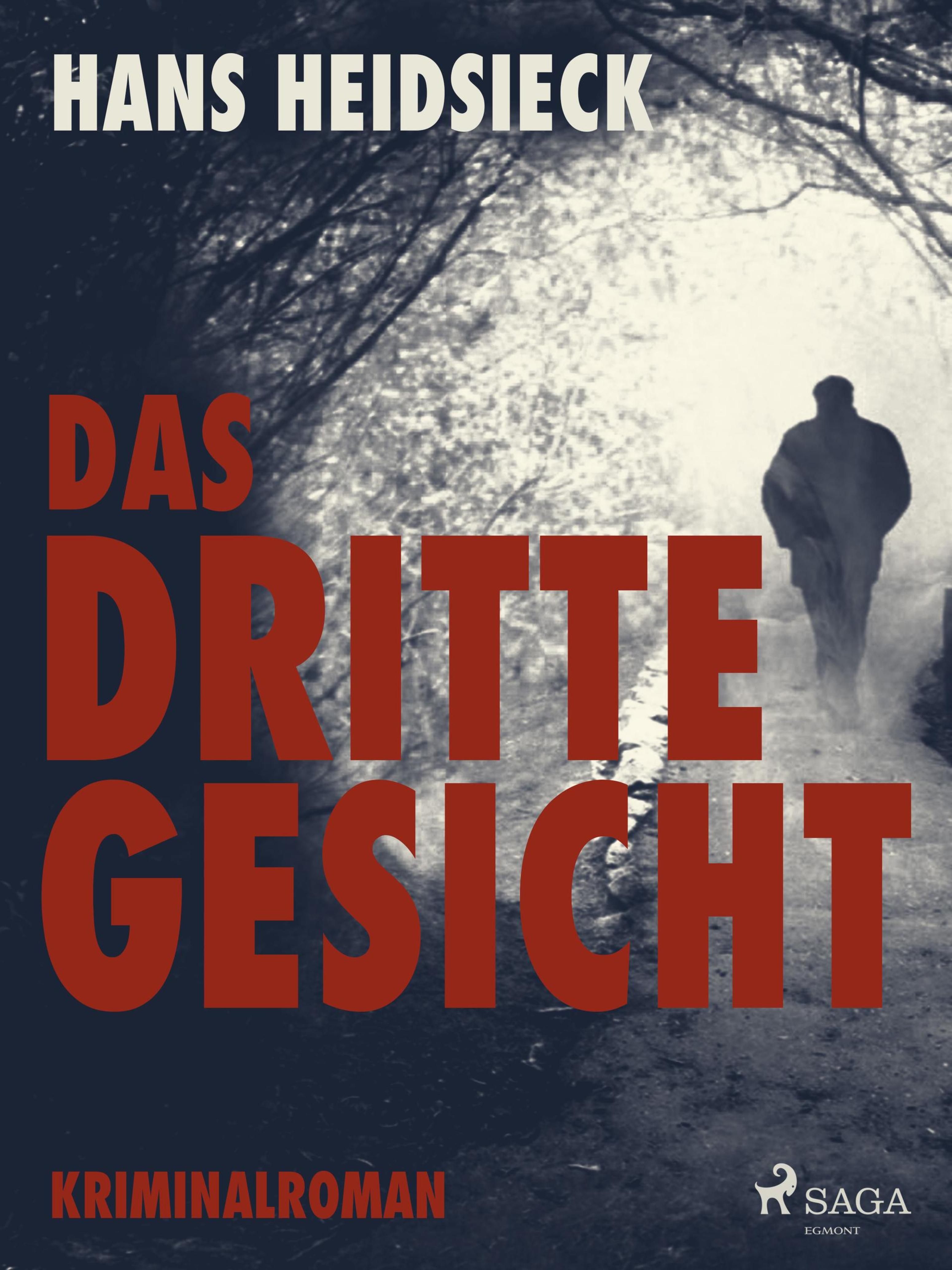 Обложка книги «Das dritte Gesicht»