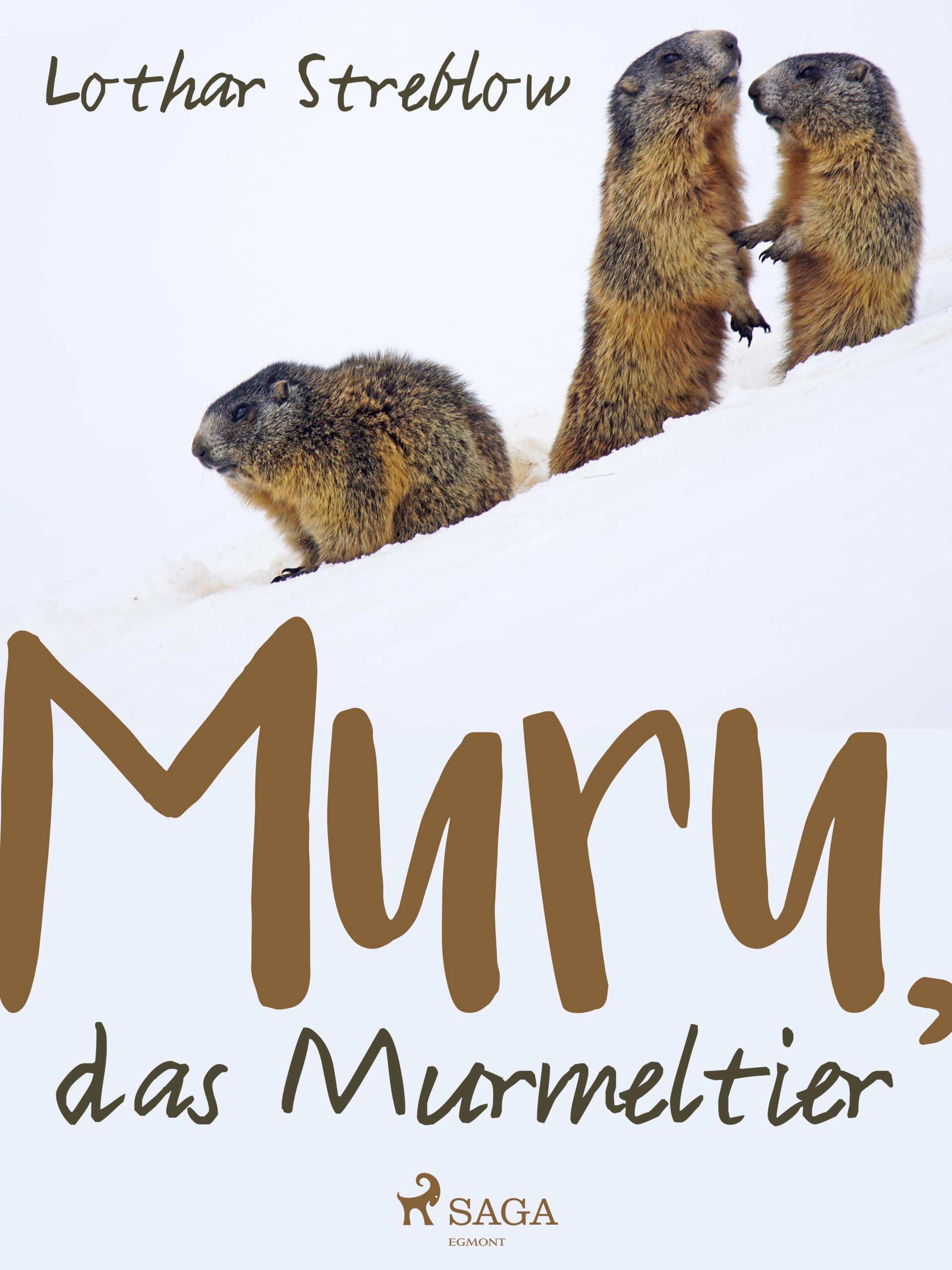 Обложка книги «Murru, das Murmeltier»