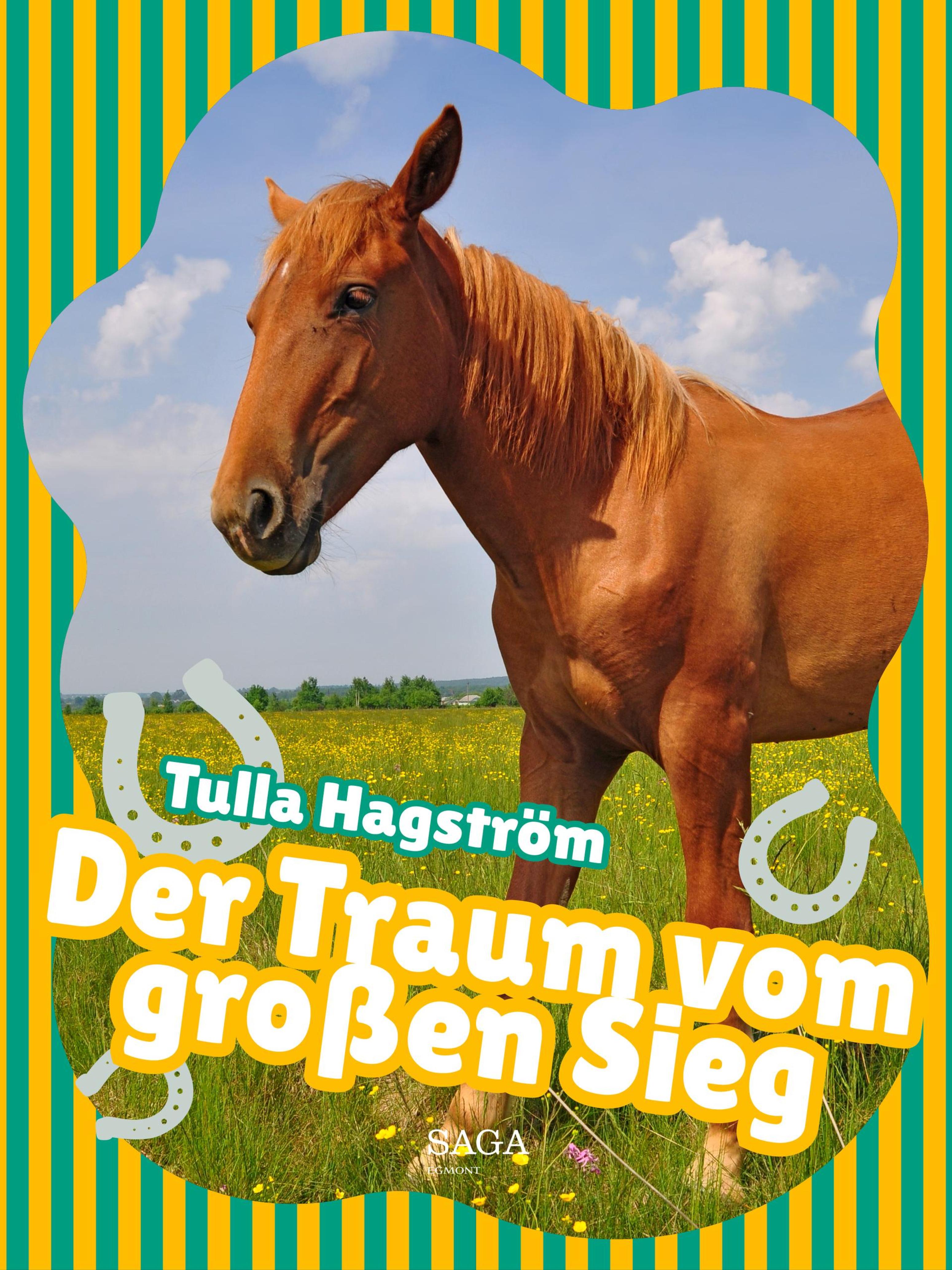 Обложка книги «Der Traum vom großen Sieg»