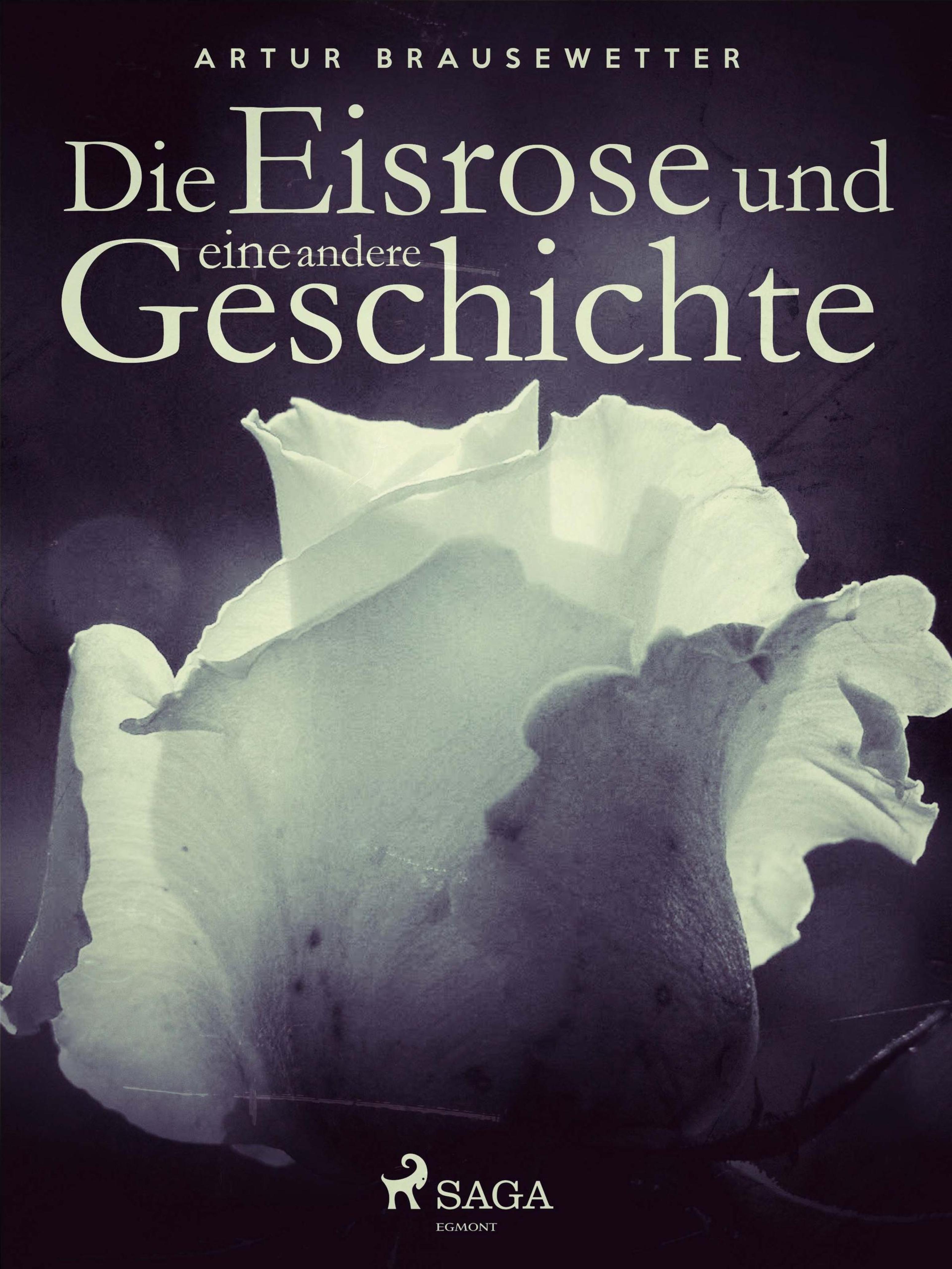 Обложка книги «Die Eisrose und eine andere Geschichte»