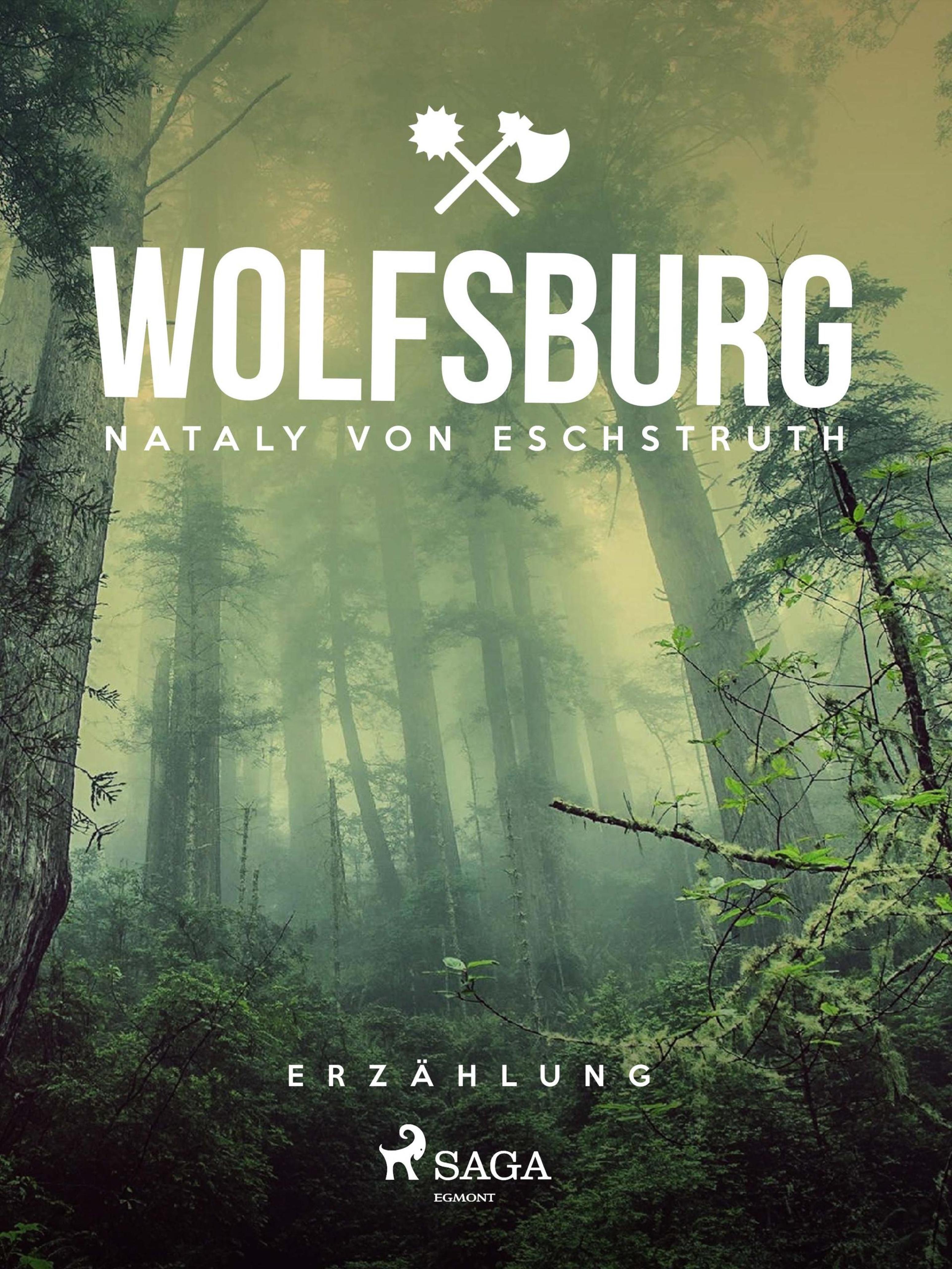 Обложка книги «Wolfsburg»