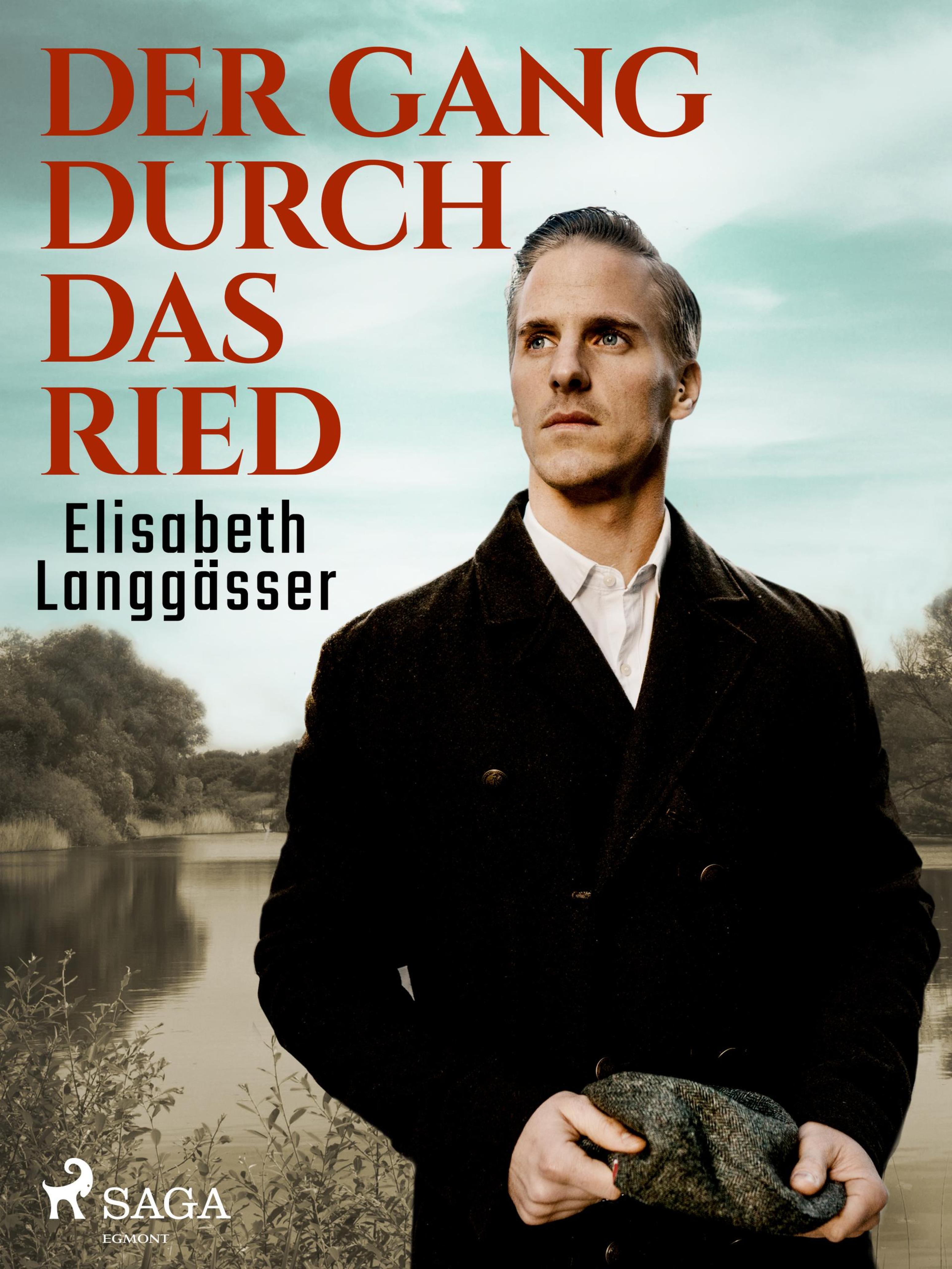 Обложка книги «Der Gang durch das Ried»