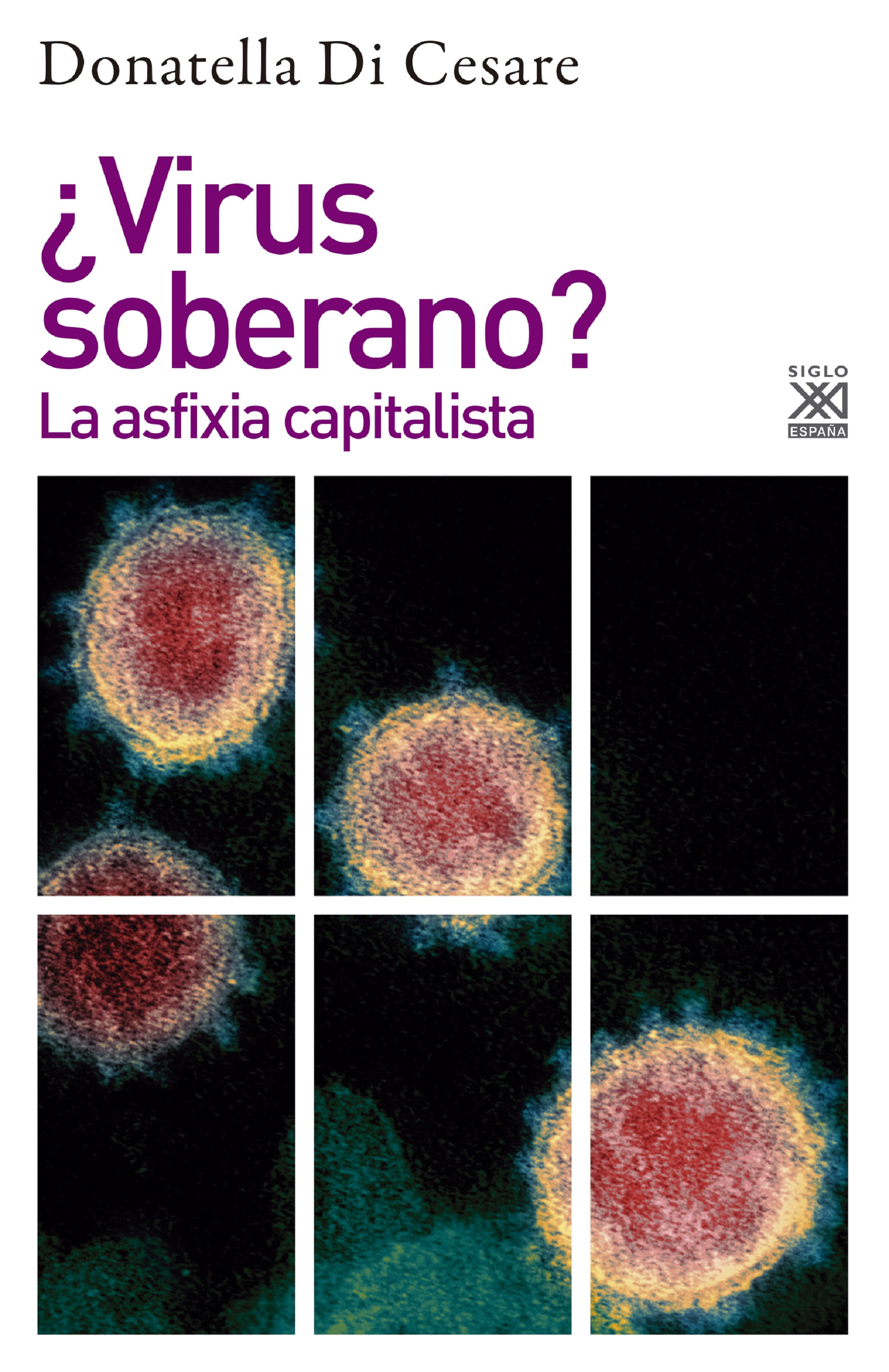 Обложка книги «¿Virus soberano?»