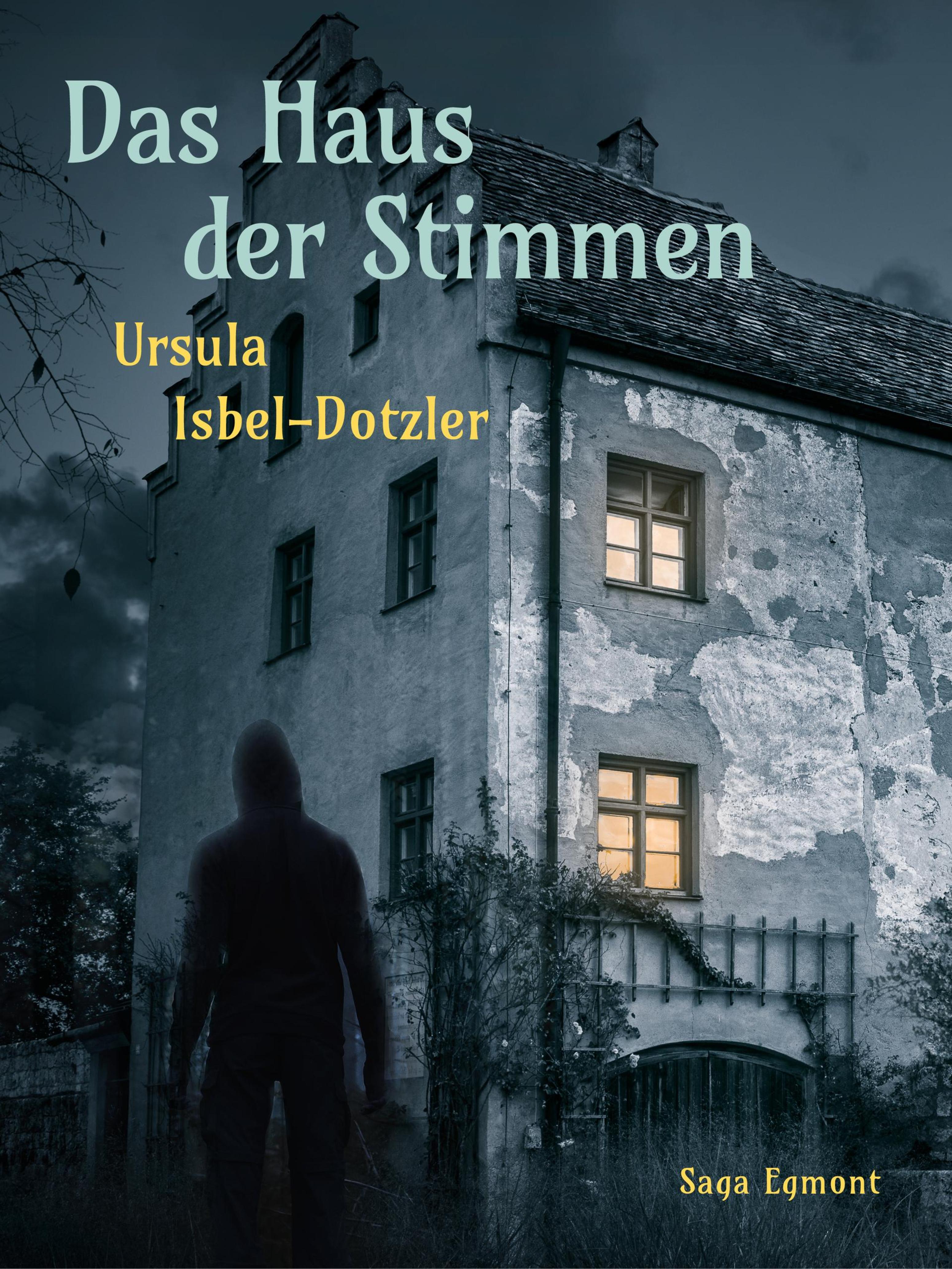 Обложка книги «Das Haus der Stimmen»