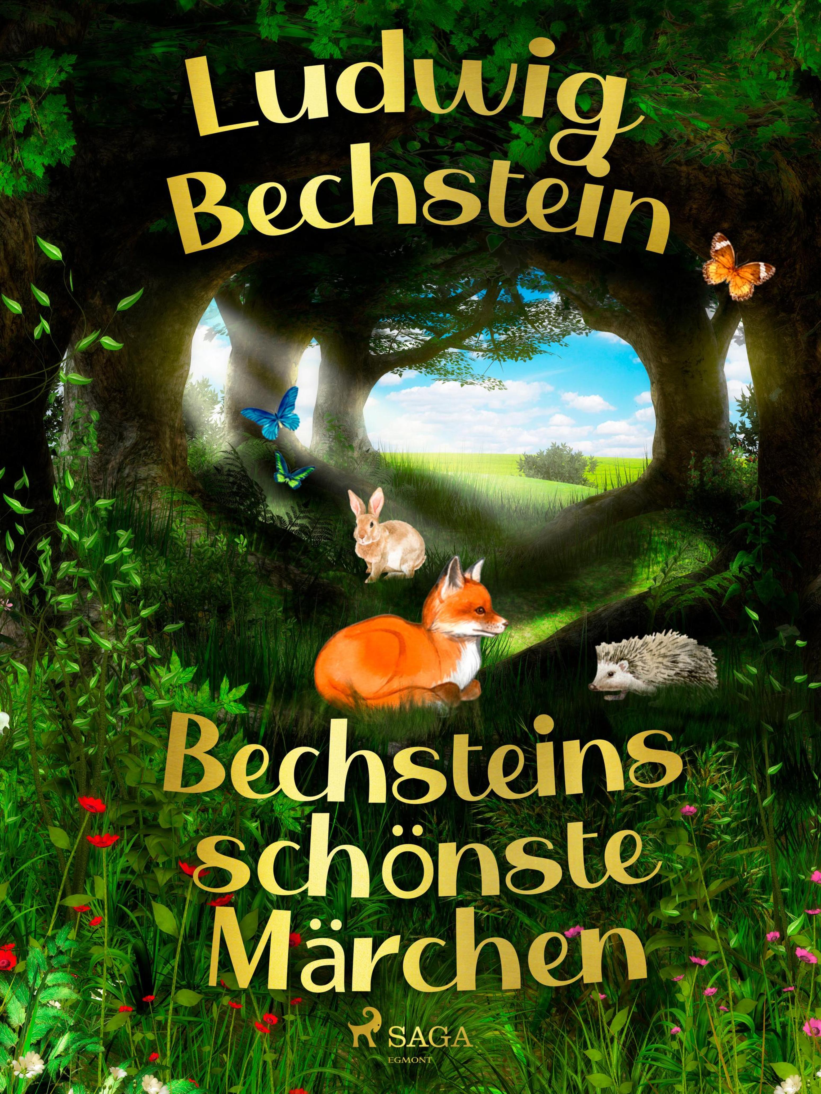 Обложка книги «Bechsteins schönste Märchen»