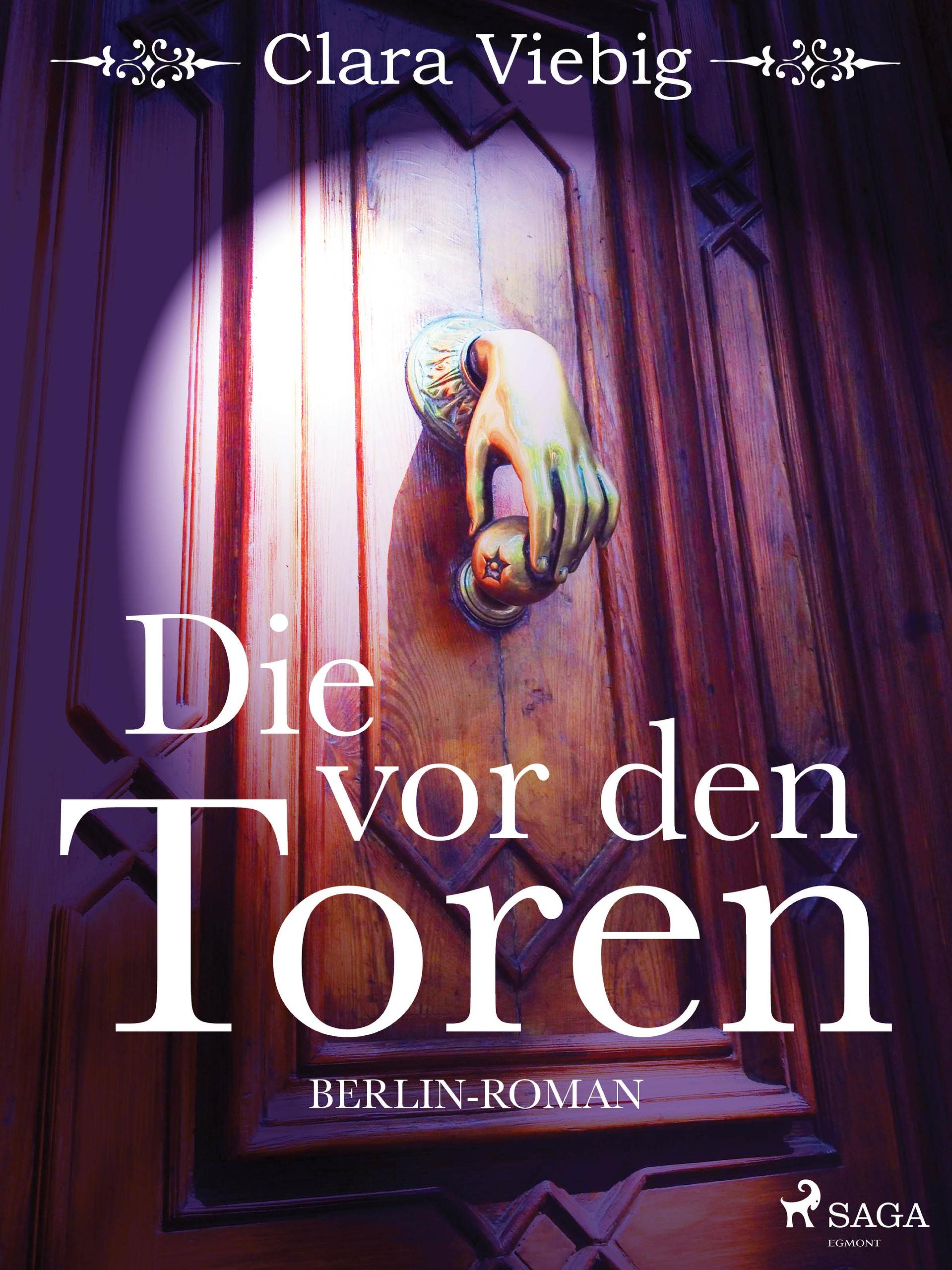 Обложка книги «Die vor den Toren»