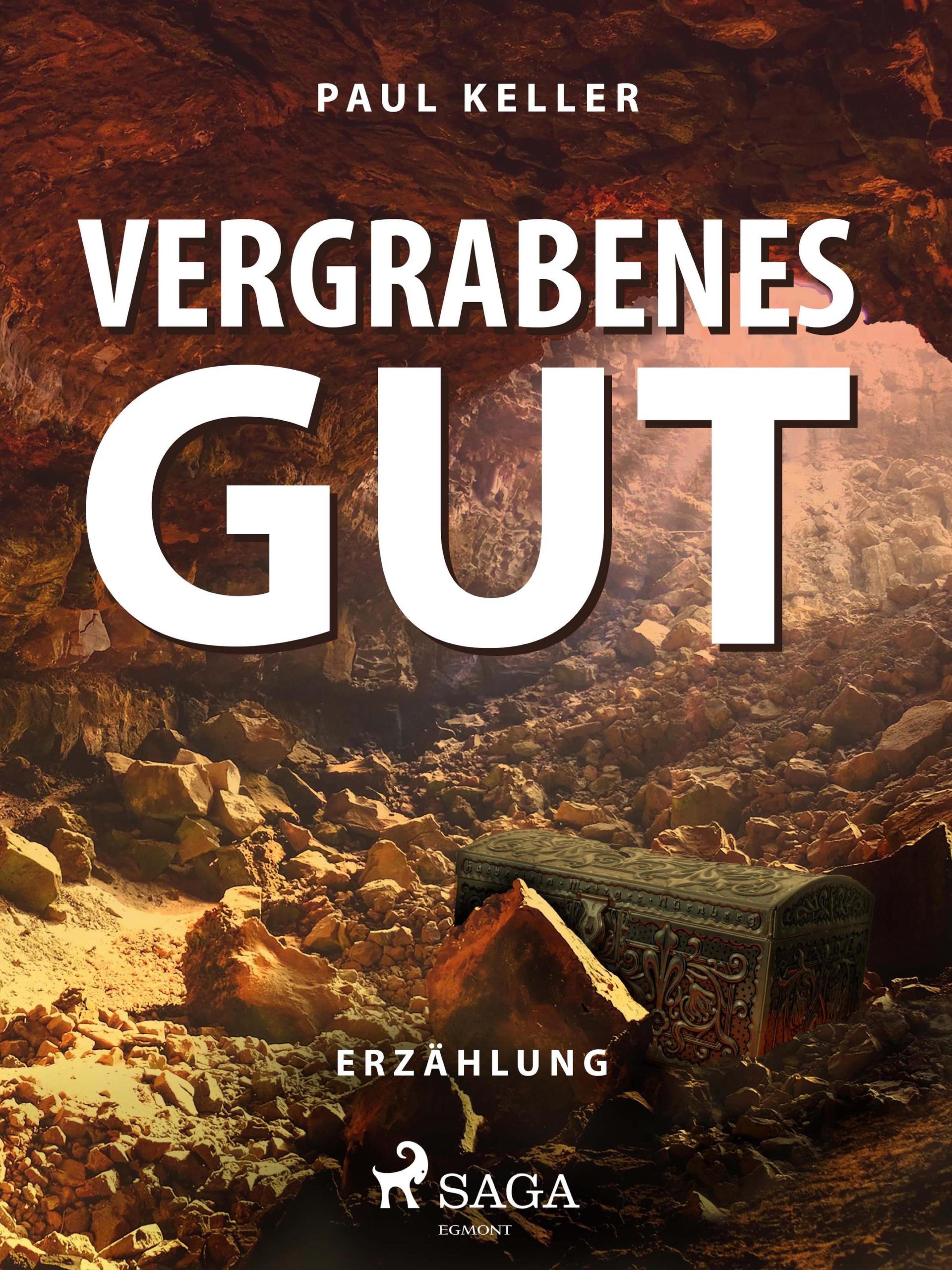 Обложка книги «Vergrabenes Gut»